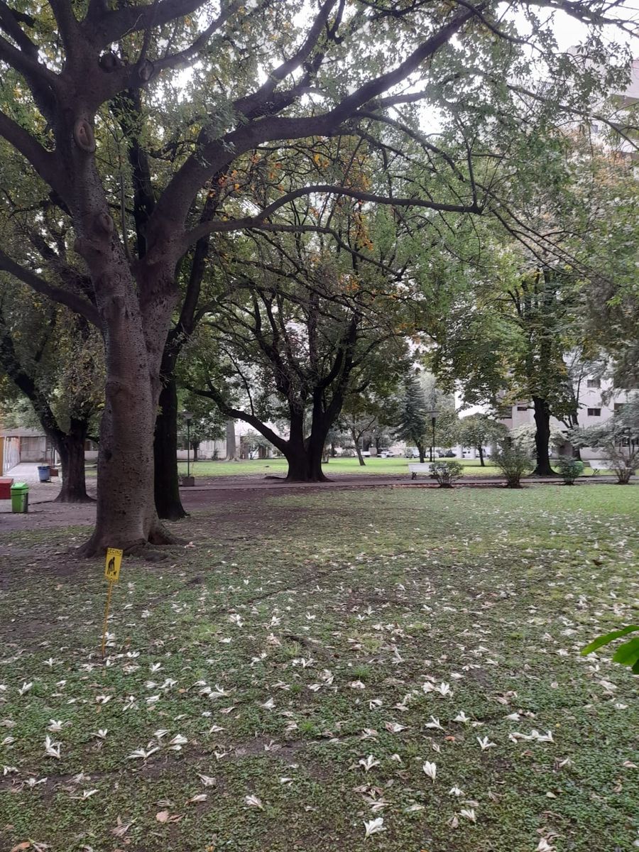 ALQUILO DPTO. 3 AMBIENTES EN BARRIO AUTOPISTA TAPIALES - 20