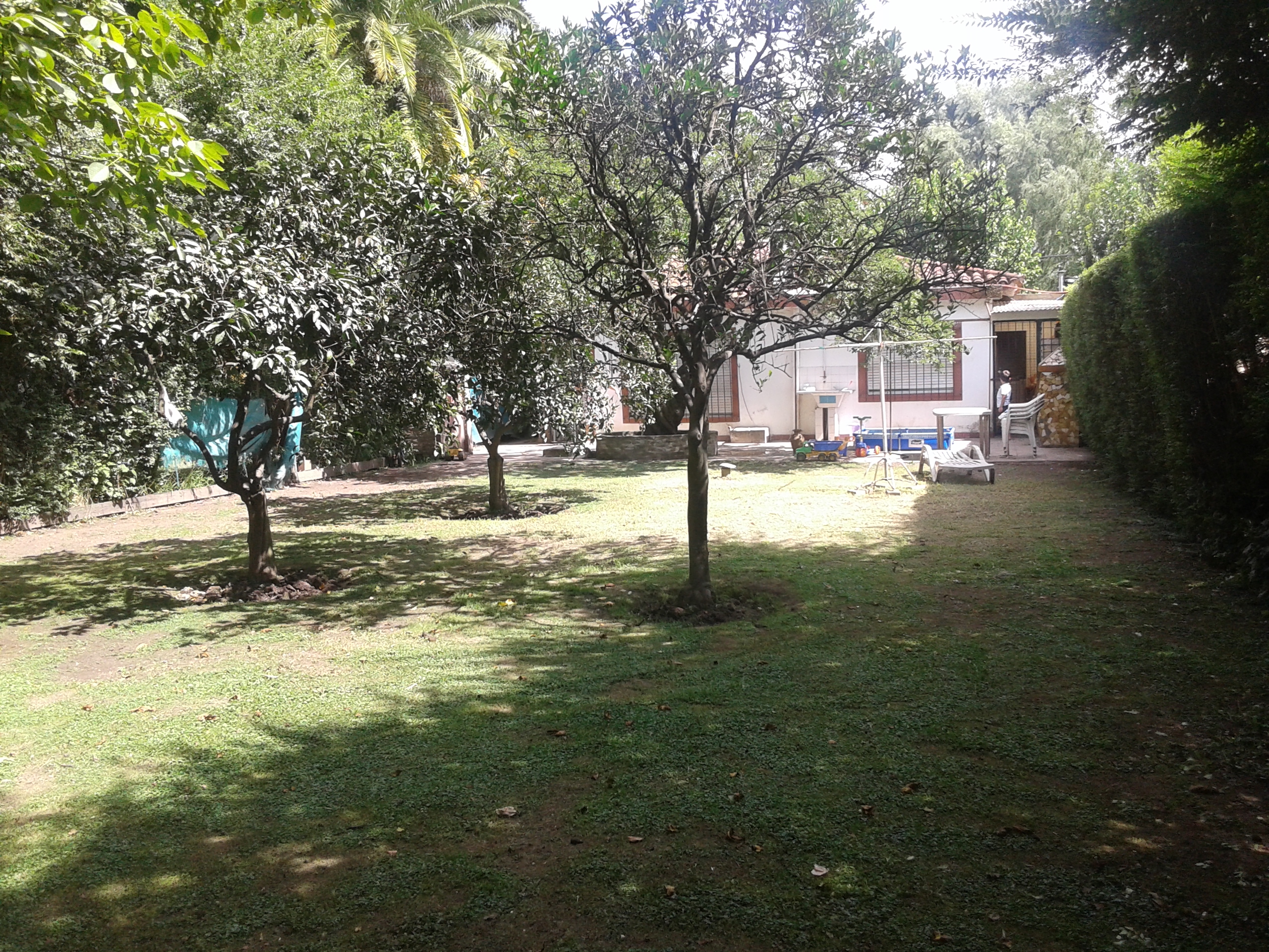 LA CASA QUE ESTÁS BUSCANDO LA ENCONTRÁS EN FRIEDRICH PROPIEDADES — foto 4