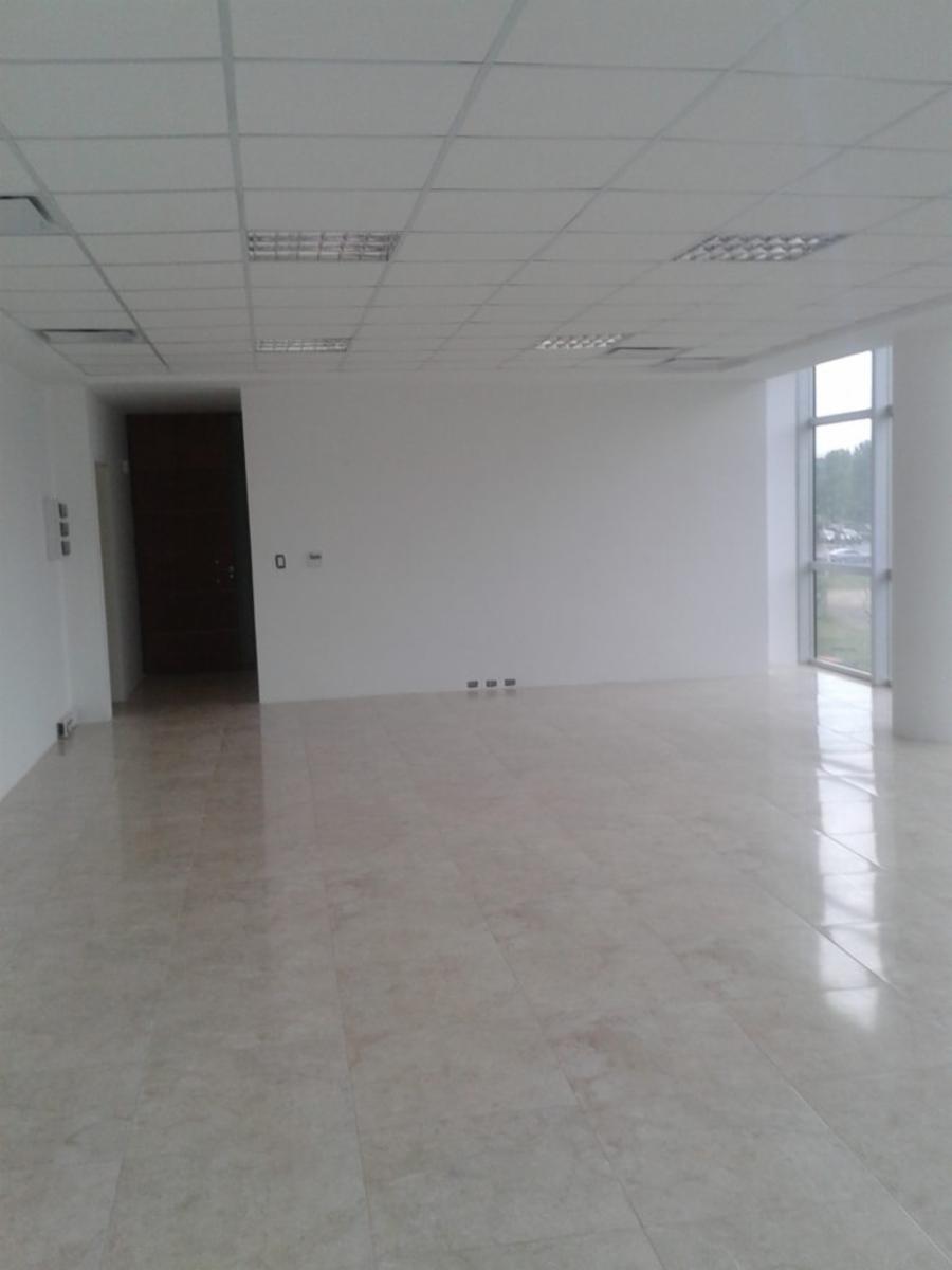Excelente Oficina en alquiler - Amaneceres Office (Canning) - 4