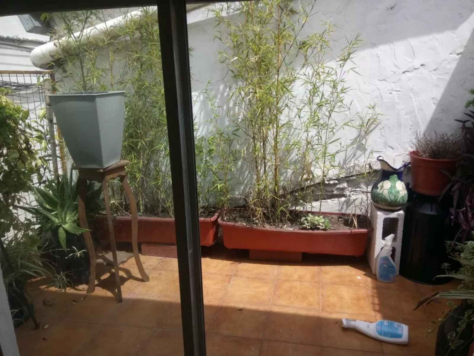 *NUEVO PRECIO* PH en Venta en Congreso 3 ambientes 55 m2 – Adolfo Alsina 2200 — foto 3