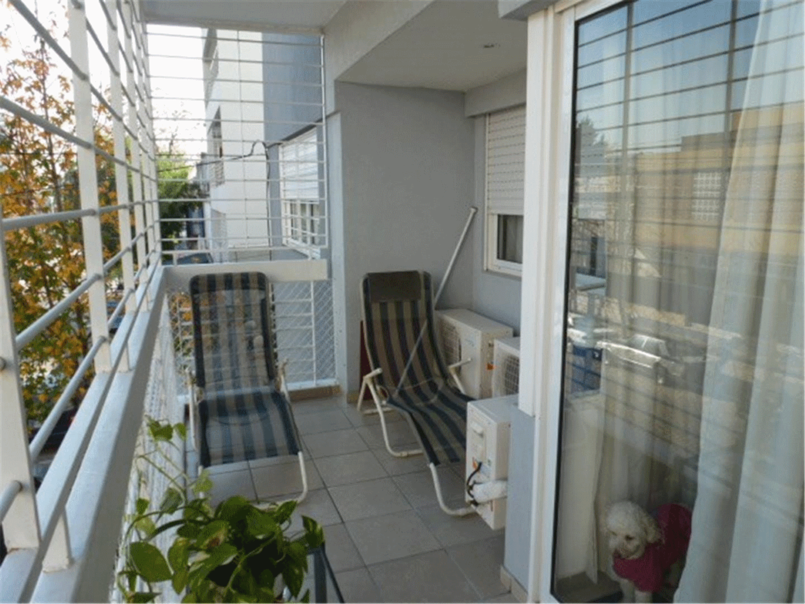 Departamento en Venta en Caballito 3 ambientes 65 m2 + balcón y cochera, al frente - Espinosa 1100 - 5