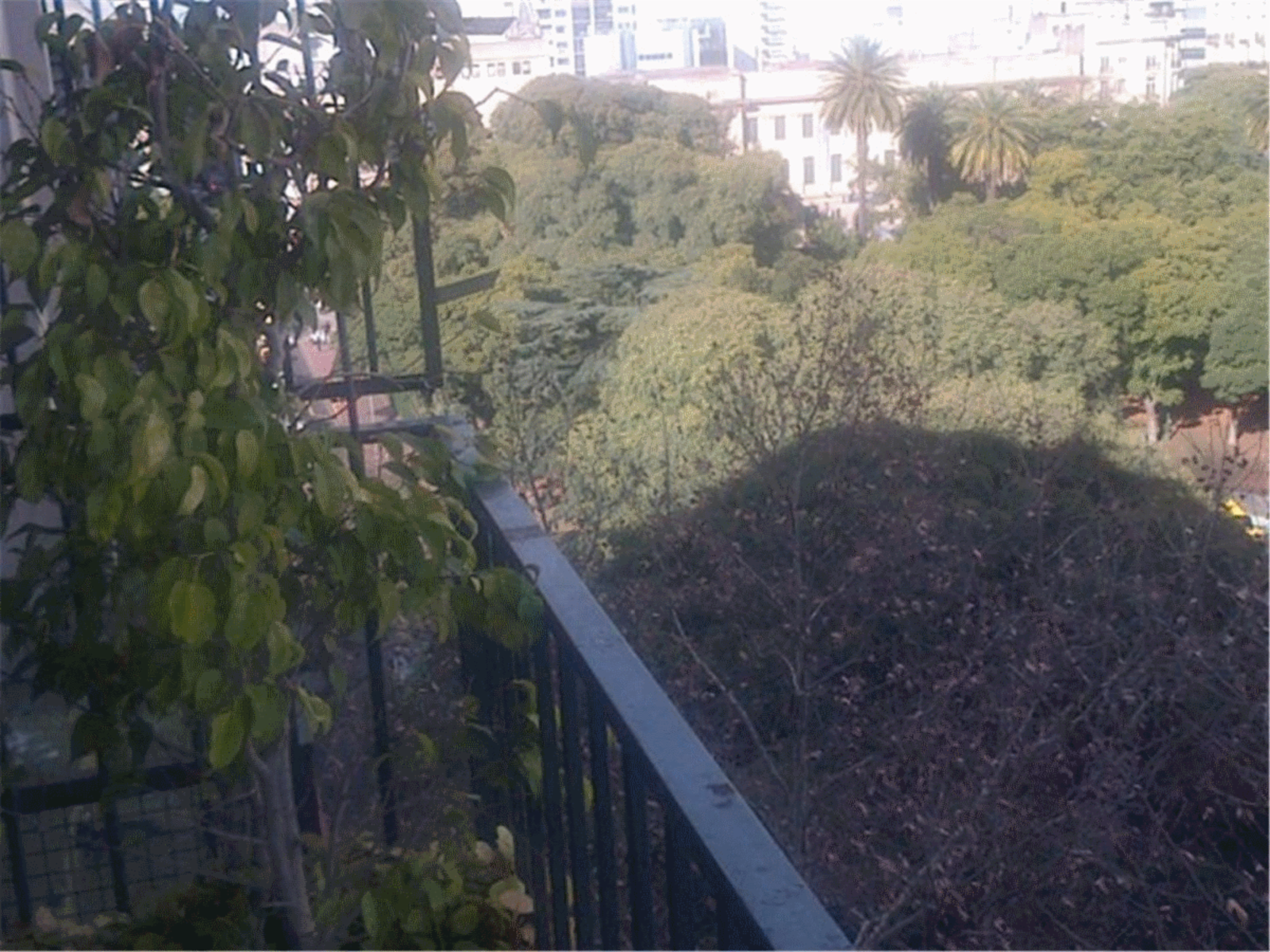 *NUEVO PRECIO* Departamento (piso) en Venta en Recoleta 4 ambientes c dependencia 90 m2 + balcón - Rodríguez Peña 1000 — foto 2