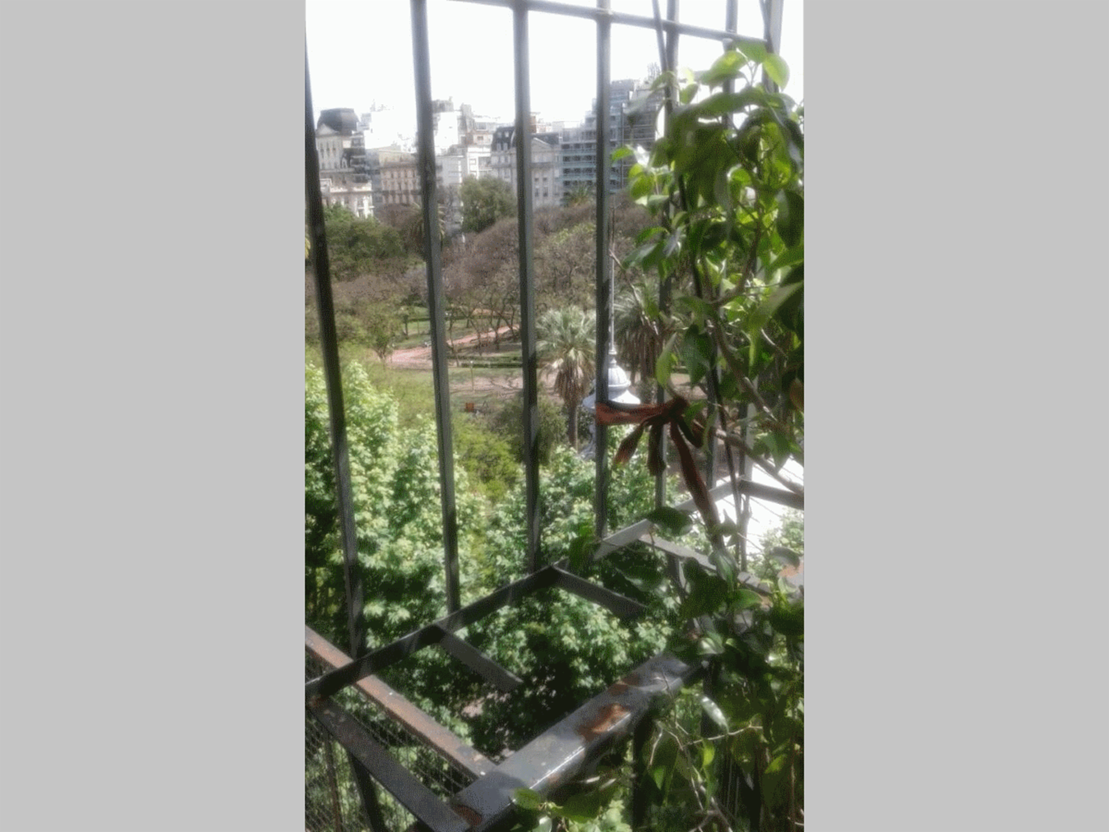 *NUEVO PRECIO* Departamento (piso) en Venta en Recoleta 4 ambientes c dependencia 90 m2 + balcón - Rodríguez Peña 1000 — foto 5