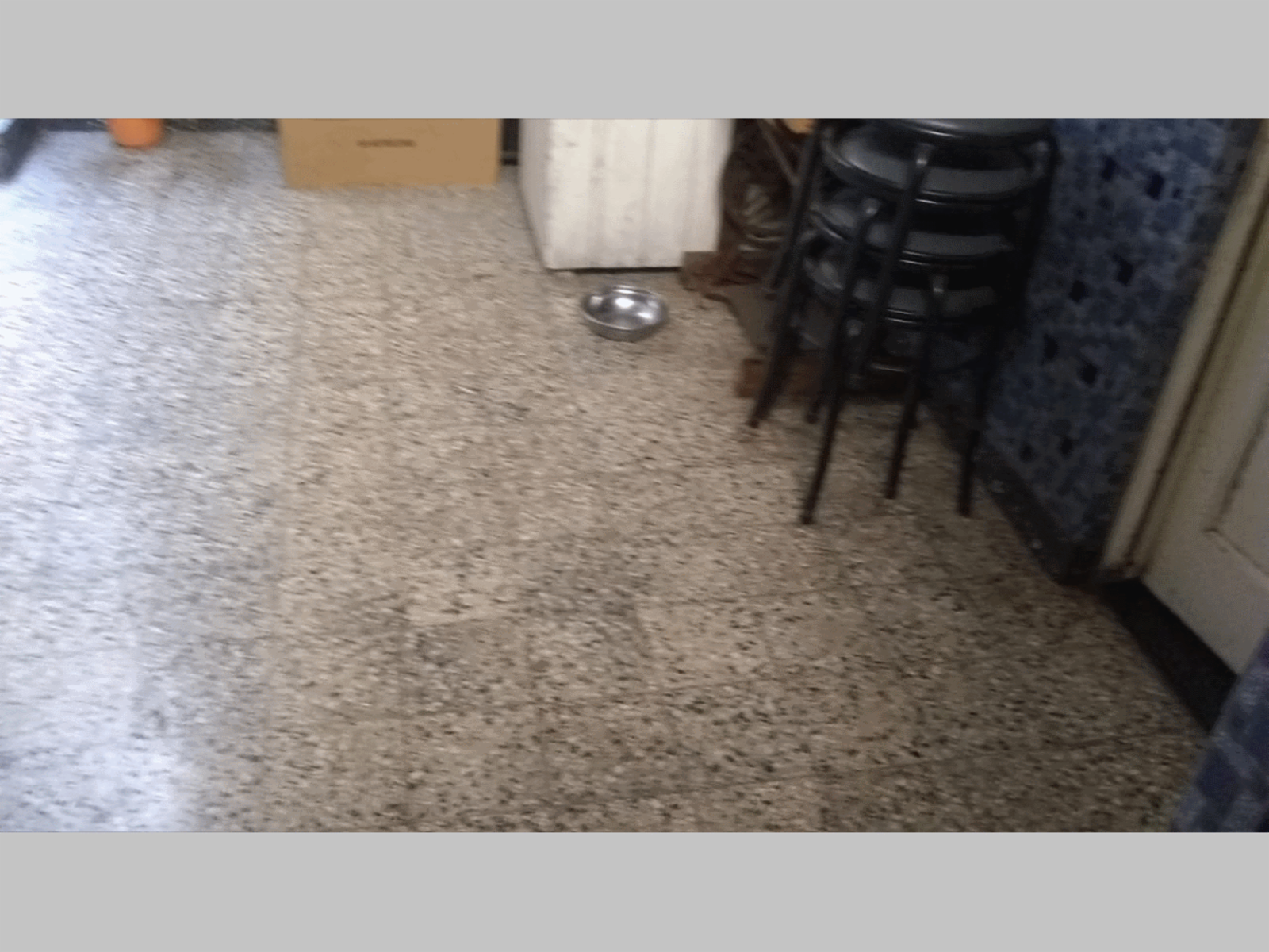 Casa en Venta en Versalles 3 ambientes 131 m2, 2 baños + terraza con quincho con parrilla, más garage y espacio guardacoches – Ruiz de los Llanos 1300 - 8