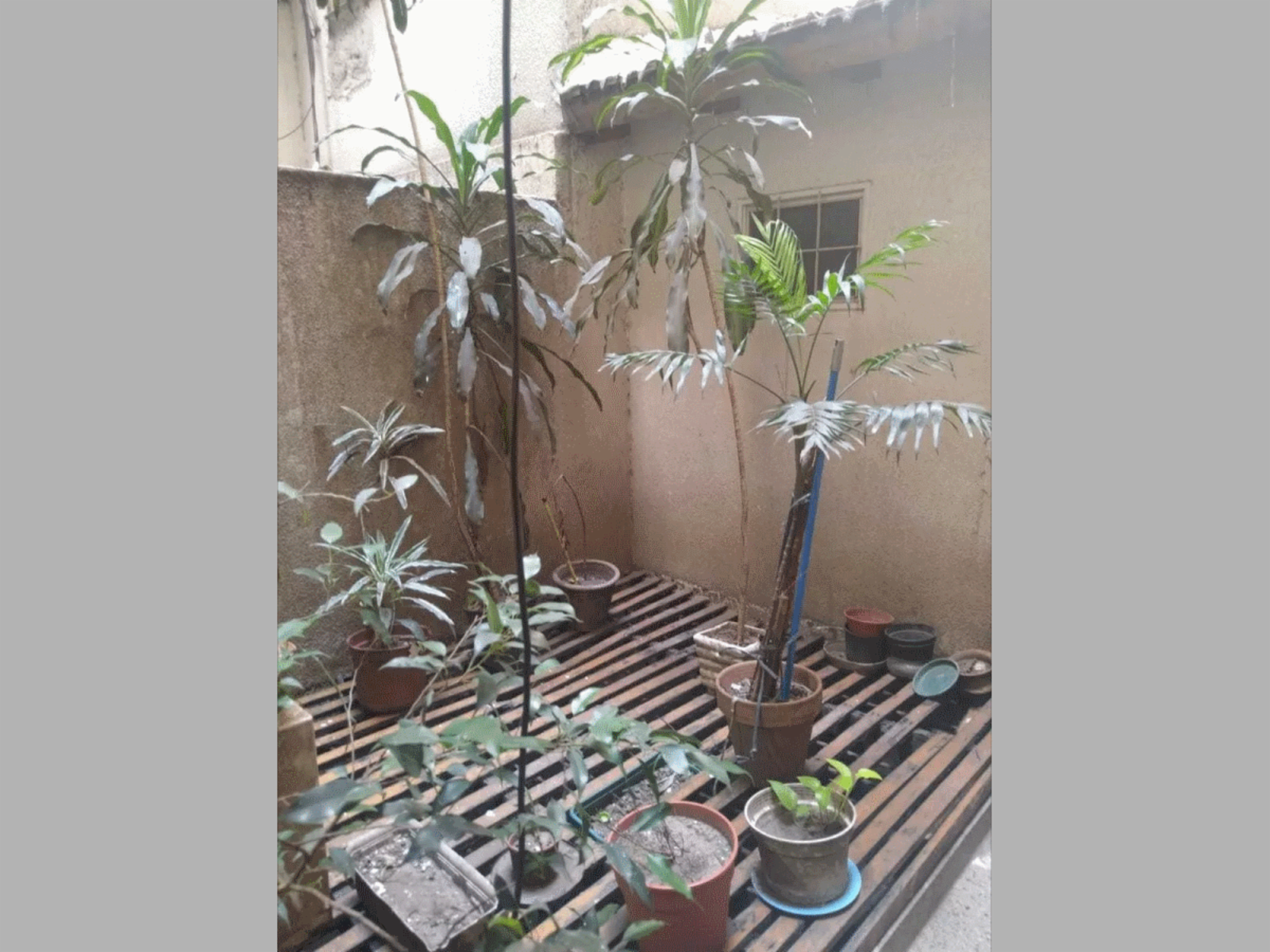 Departamento en Venta en Villa Crespo 3 ambientes 2 baños más dependencia, 75 m2 + patio, al contrafrente - Malabia 400 — foto 12