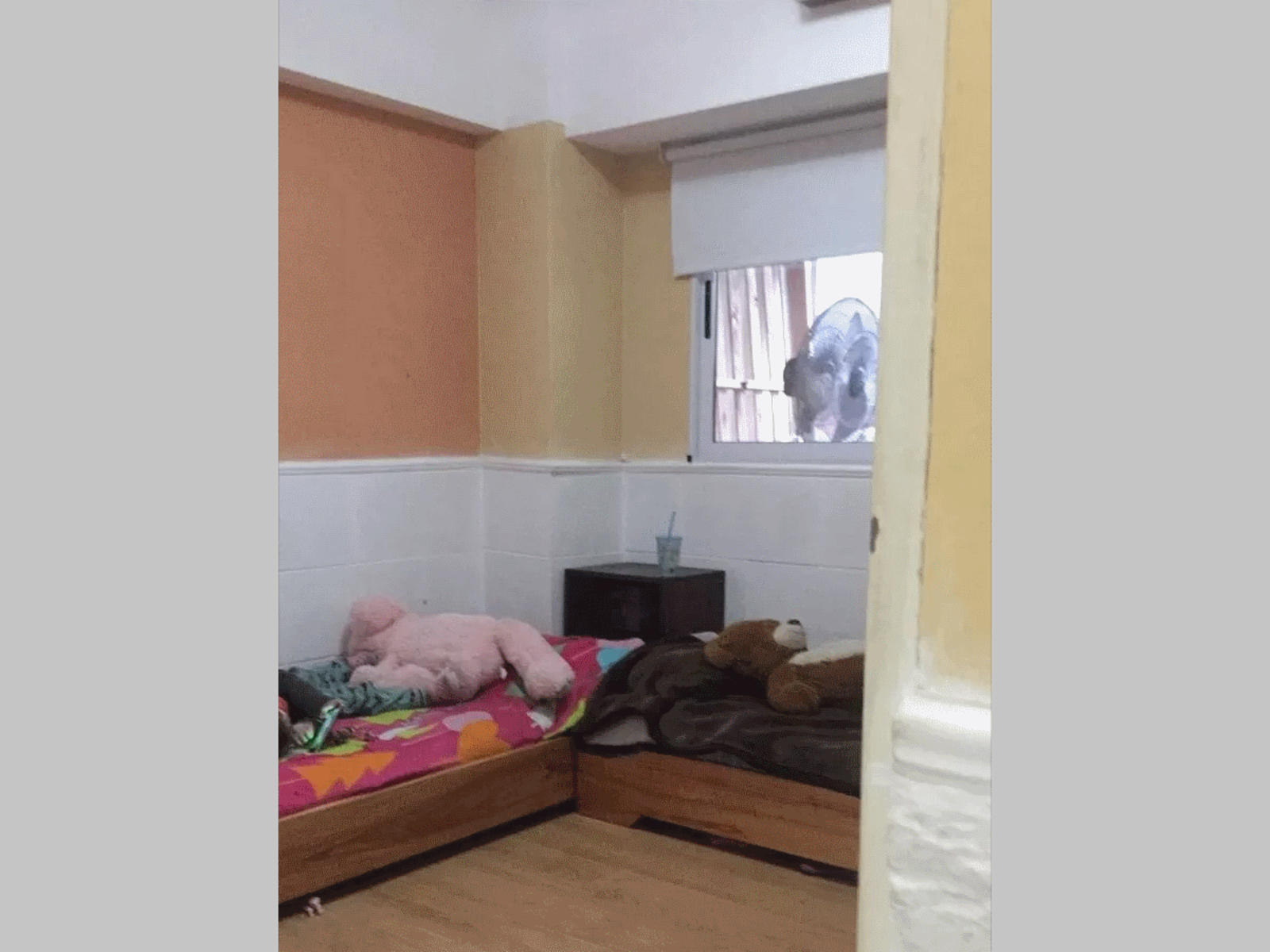 NUEVO PRECIO - Departamento en Venta en Flores 3 ambientes 58 m2 + gran patio, 2° piso al contrafrente - Bolivia 100 — foto 14