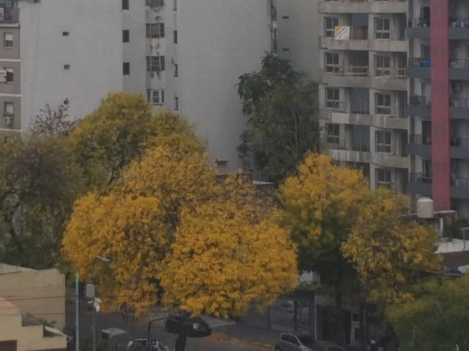 NUEVO PRECIO - Departamento en Venta en Parque Chacabuco 3 ambientes 53 m2 - piso alto, contrafrente - Av Directorio 900 — foto 13