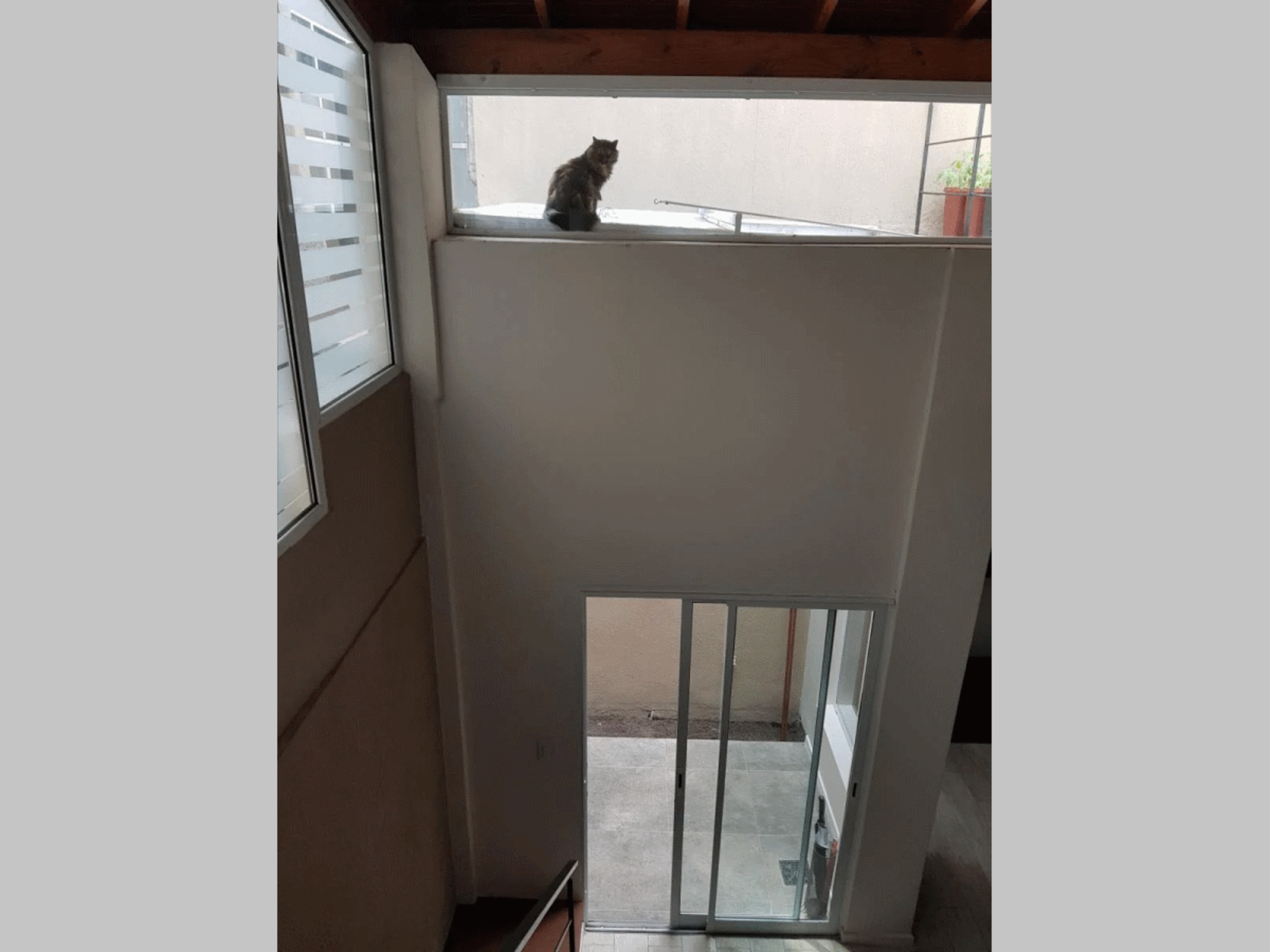 RECICLADO, EXCELENTE - PH en PB en Venta en Caballito 3 ambientes (1 dormitorio) 67 m2 + patio y terraza propios - Av Juan B. Alberdi 1200 — foto 5