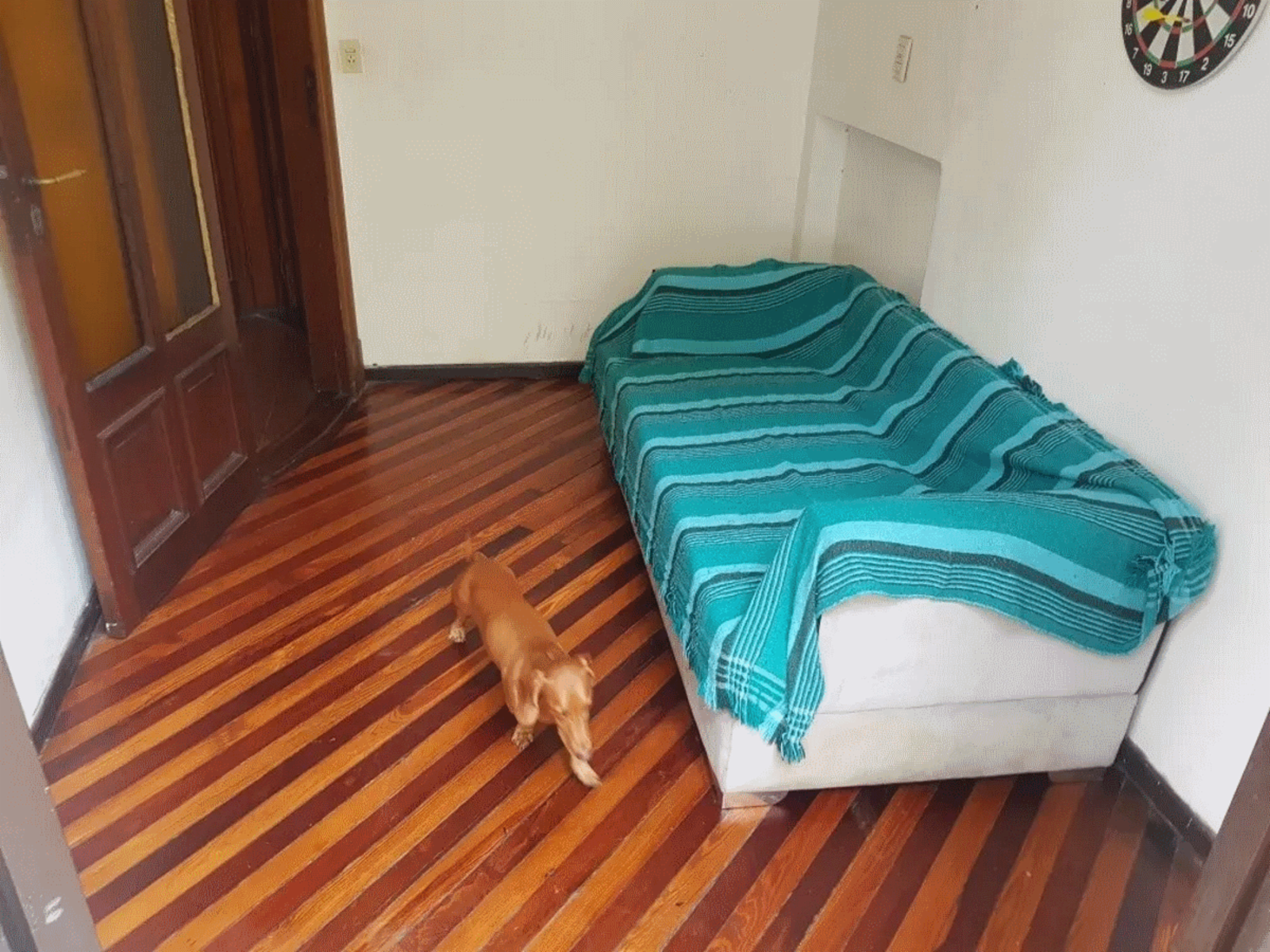 OPORTUNIDAD - NUEVO PRECIO - Departamento en Venta en Congreso 4 ambientes 2 baños 65 m2 + balcón al frente + patio - Combate de los Pozos 200 — foto 13