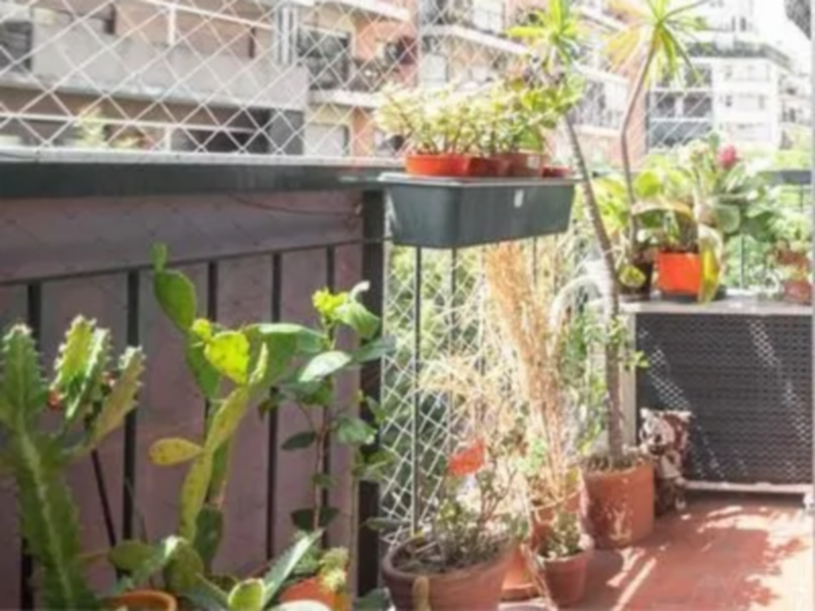 EXCELENTE - Departamento en Venta en Caballito 3 ambientes 51 m2 + balcón al frente - Formosa 500 — foto 14