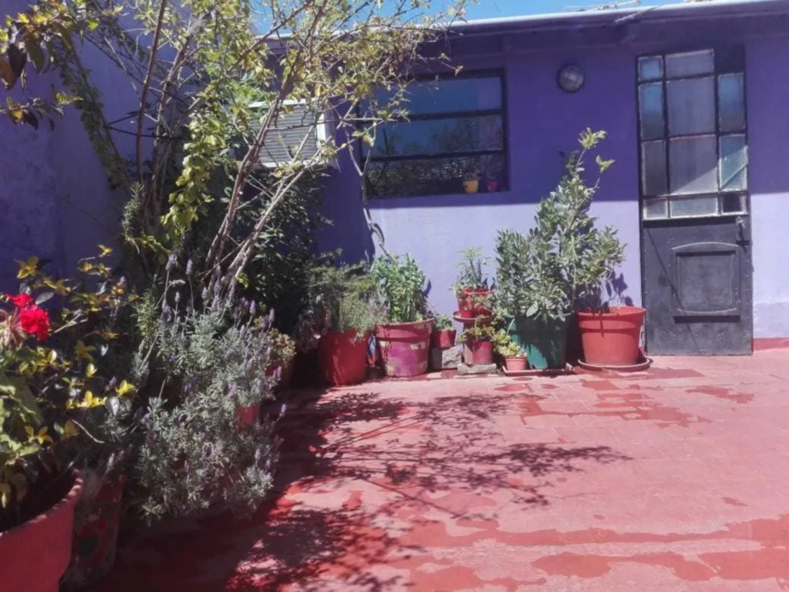 RECICLADO - PH en Venta en Flores (norte) 6 ambientes 2 baños 100 m2 + patio y terraza - Alfredo R Bufano 800 — foto 15