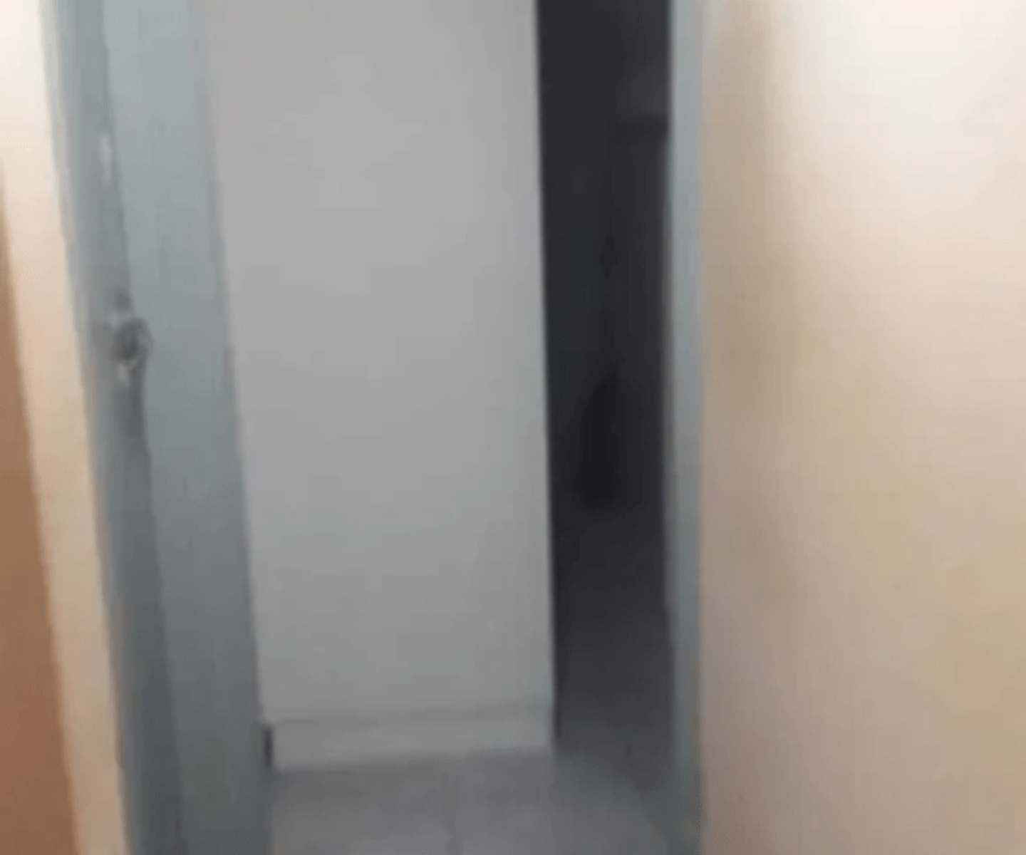 DEPARTAMENTO DE 3 AMBIENTES EN ABASTO — foto 3