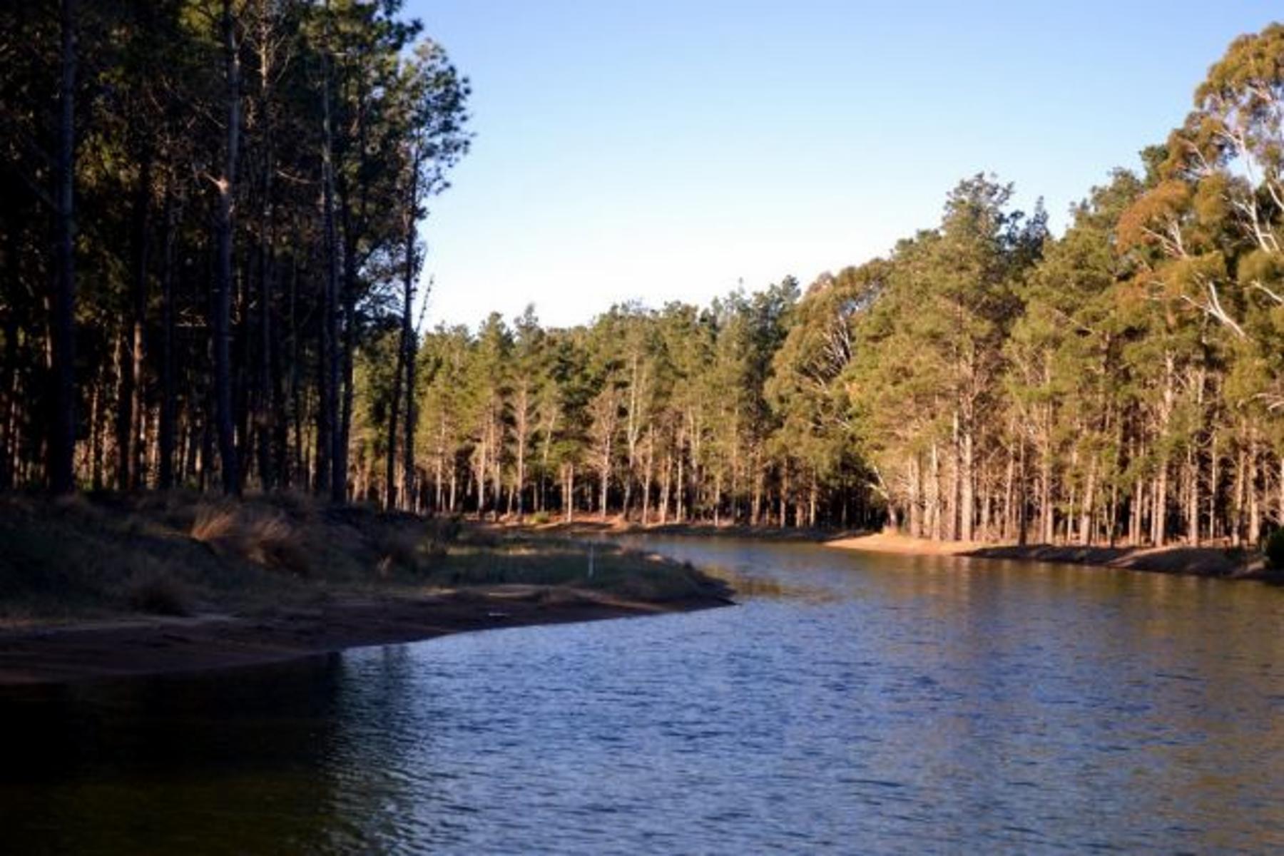 Espectacular lote en Villa Robles con frente de laguna. Hermosos Arboles. Terreno en Venta. — foto 2