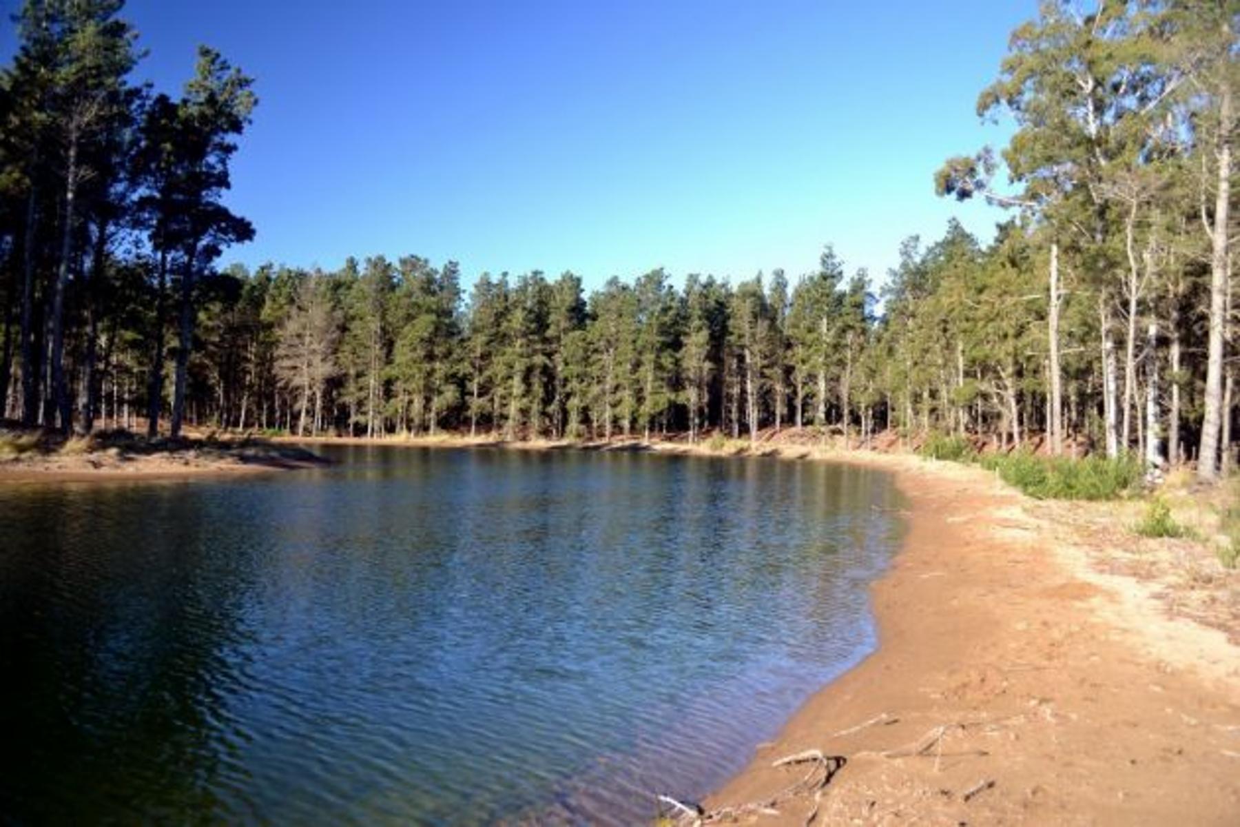 Espectacular lote en Villa Robles con frente de laguna. Hermosos Arboles. Terreno en Venta. — foto 4