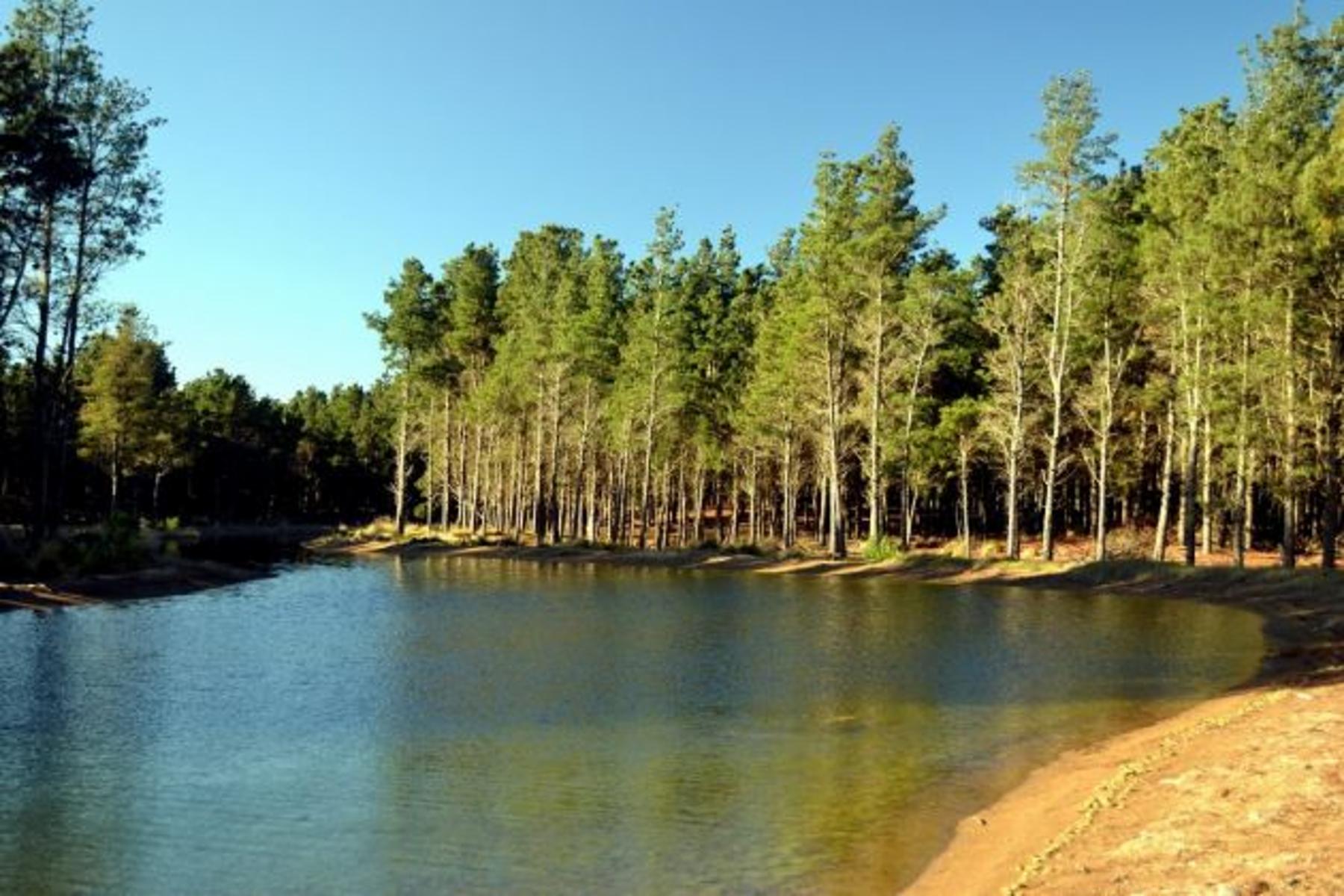 Espectacular lote en Villa Robles con frente de laguna. Hermosos Arboles. Terreno en Venta. — foto 5