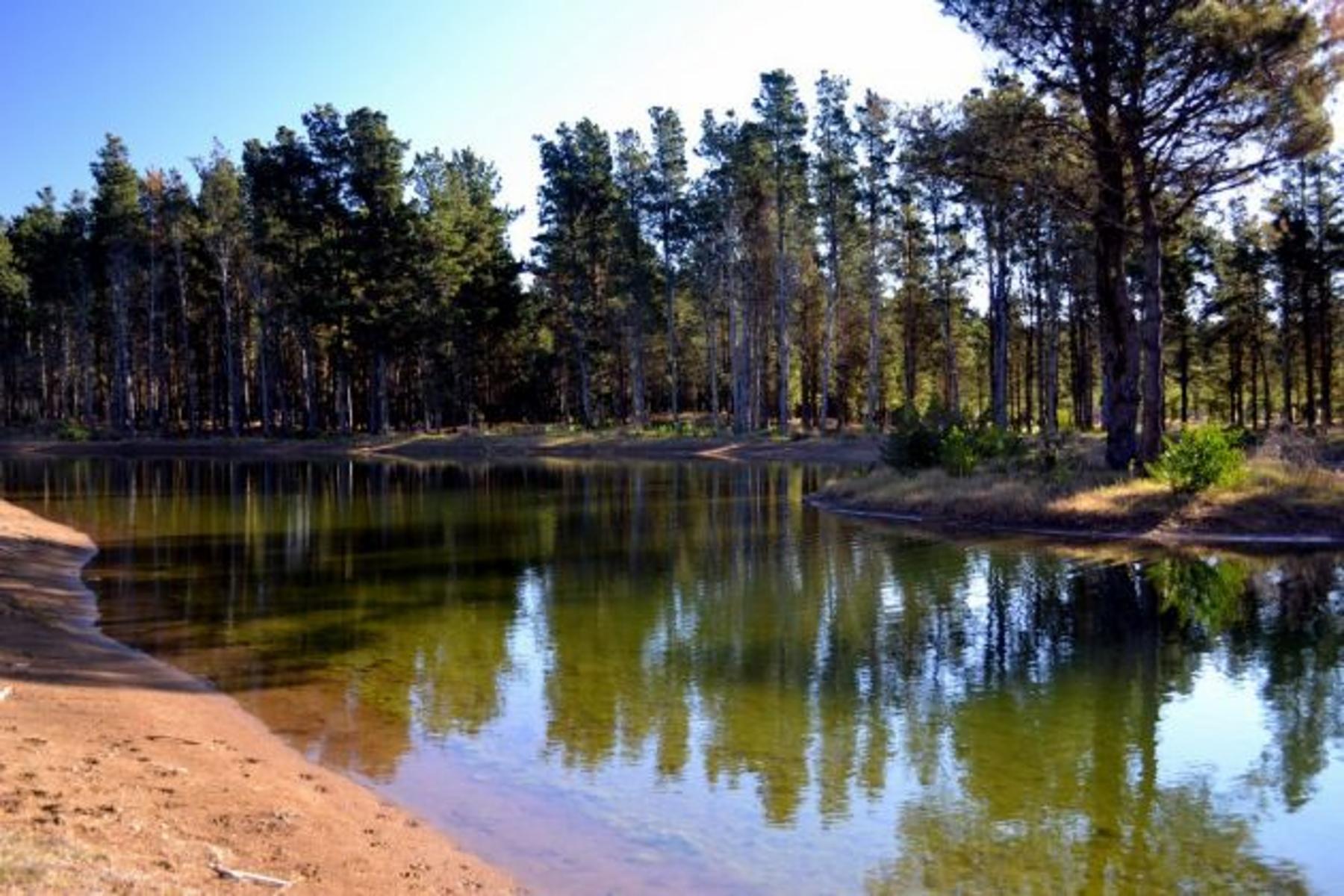 Espectacular lote en Villa Robles con frente de laguna. Hermosos Arboles. Terreno en Venta. — foto 6