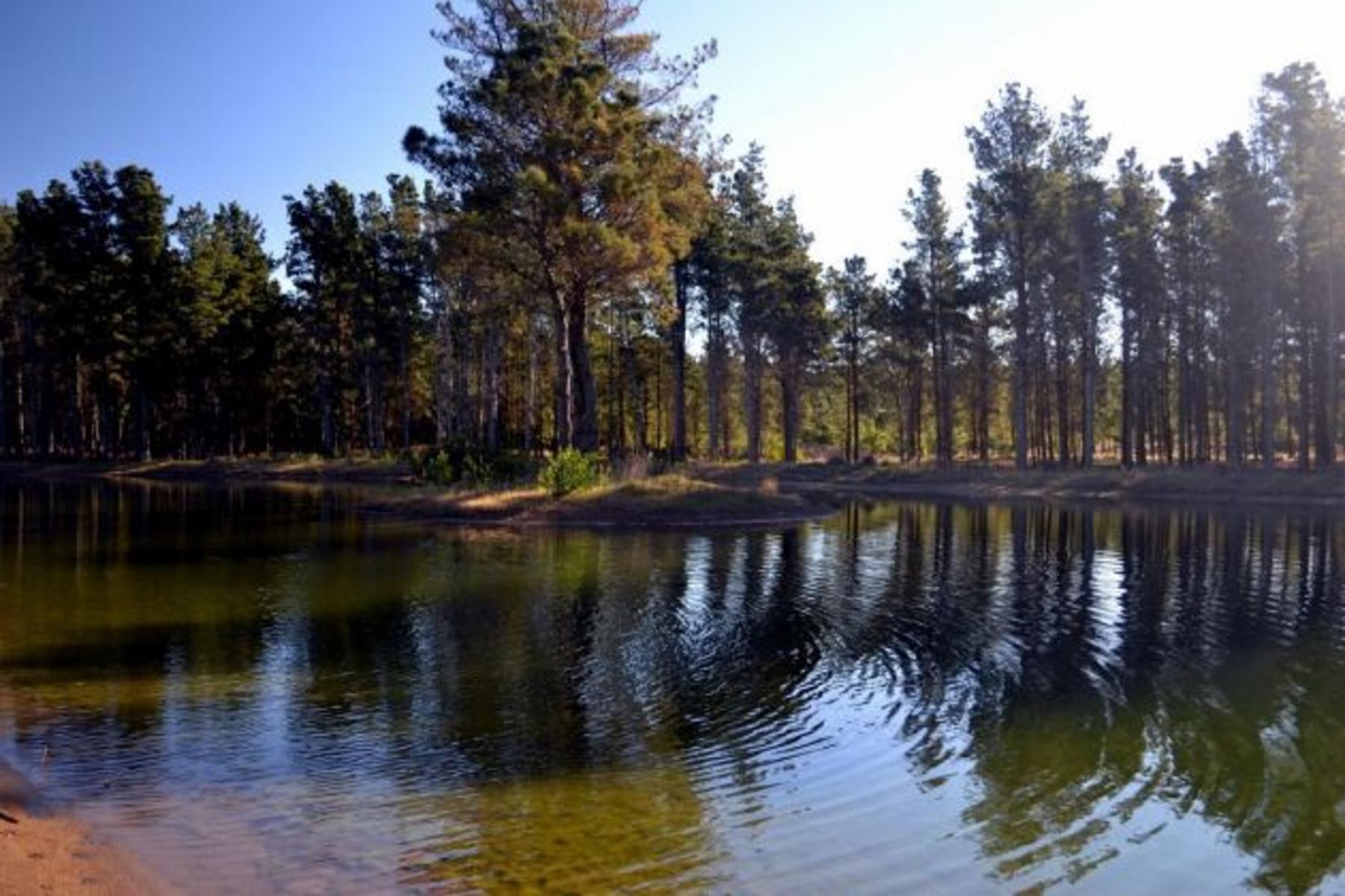 Espectacular lote en Villa Robles con frente de laguna. Hermosos Arboles. Terreno en Venta. — foto 7