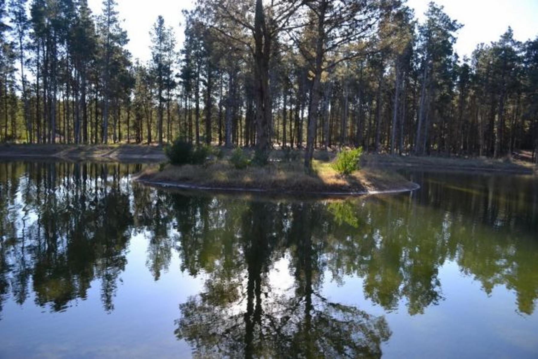 Espectacular lote en Villa Robles con frente de laguna. Hermosos Arboles. Terreno en Venta. — foto 8