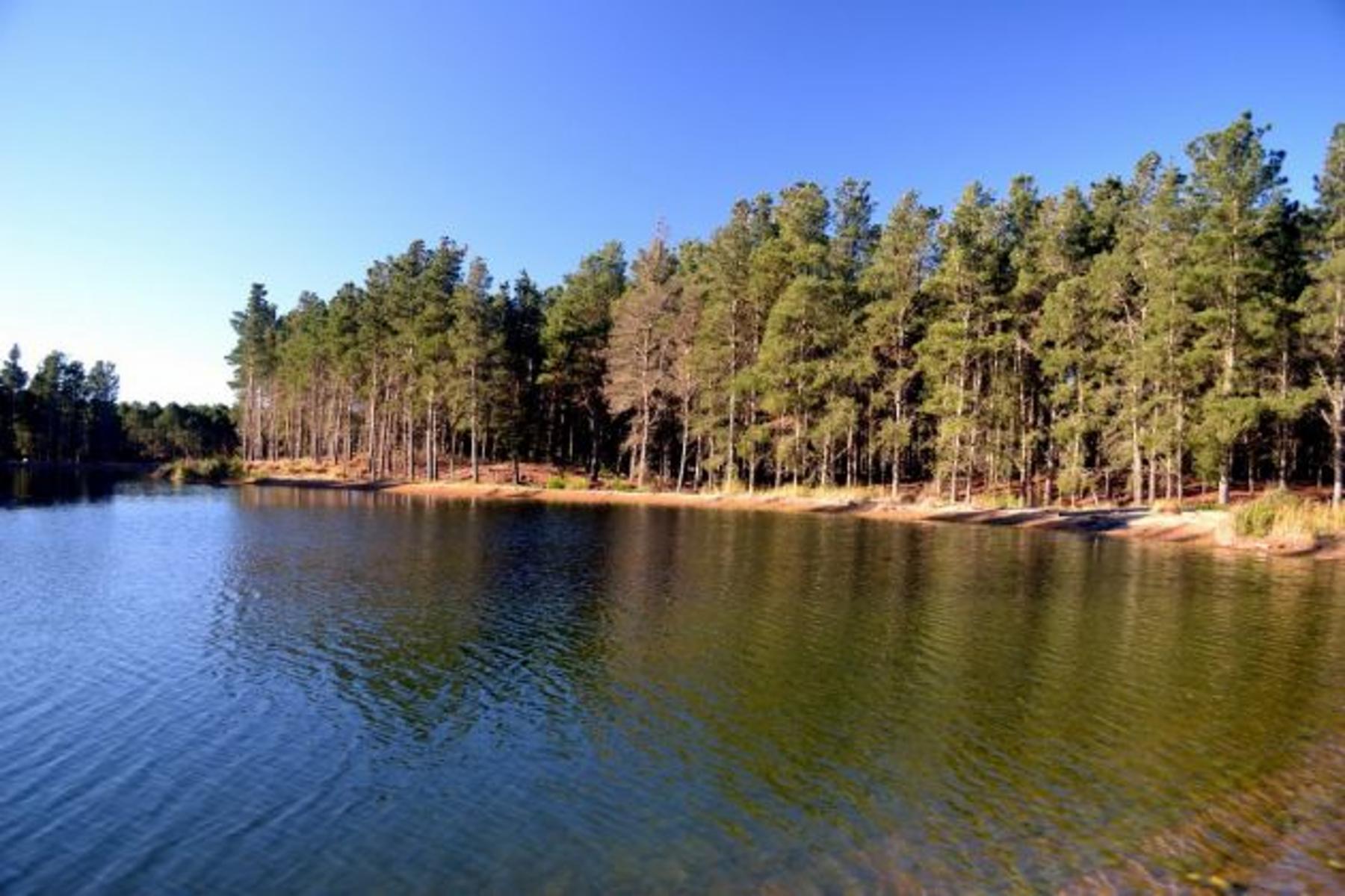 Espectacular lote en Villa Robles con frente de laguna. Hermosos Arboles. Terreno en Venta. — foto 11