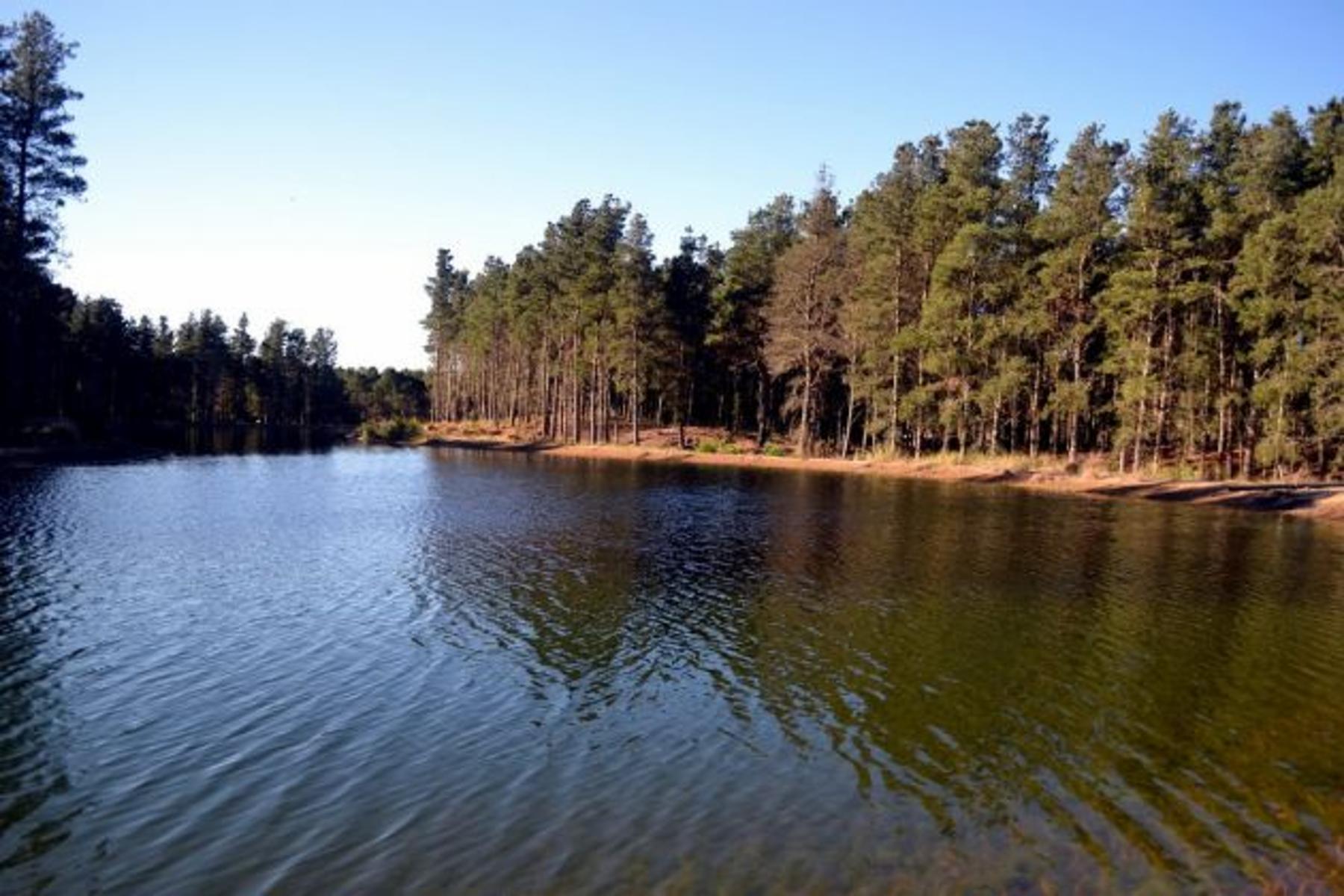 Espectacular lote en Villa Robles con frente de laguna. Hermosos Arboles. Terreno en Venta. — foto 14