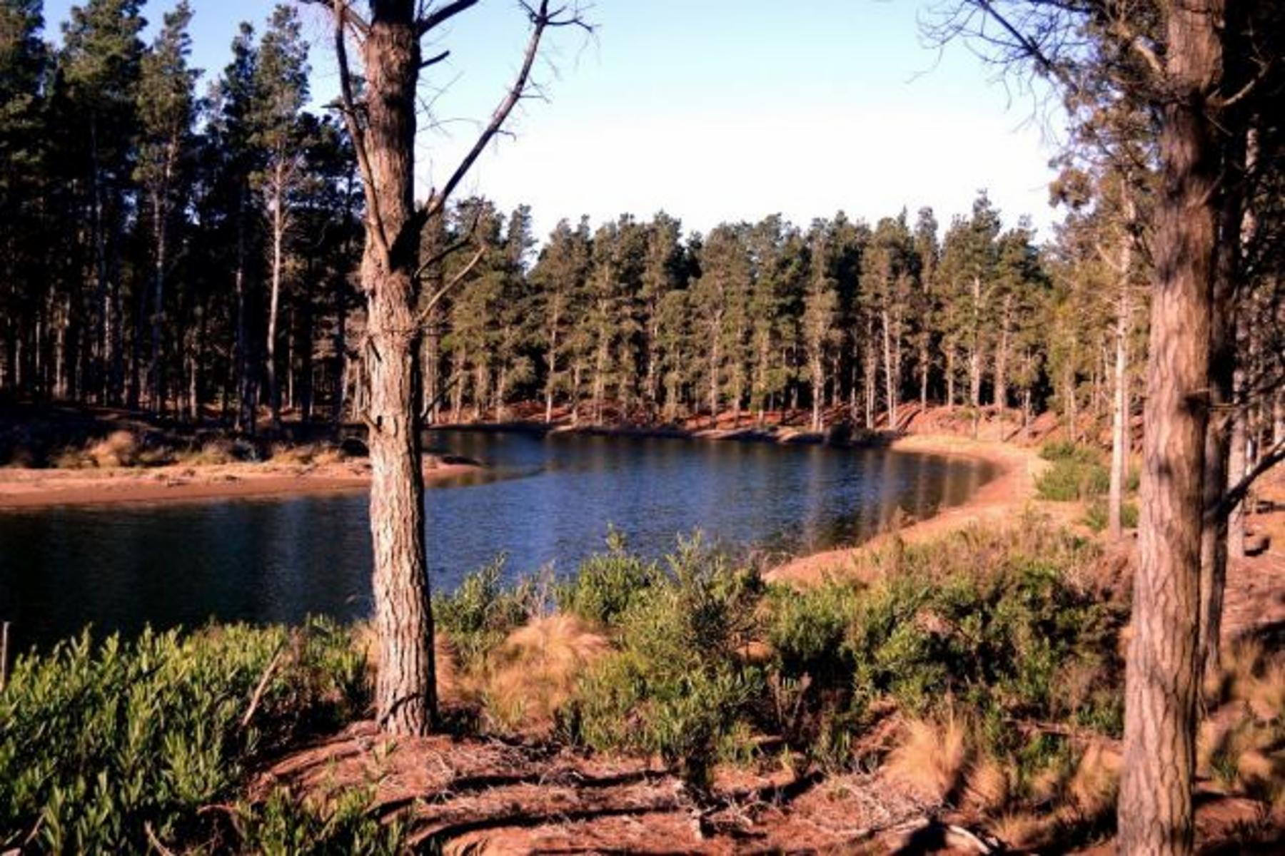 Espectacular lote en Villa Robles con frente de laguna. Hermosos Arboles. Terreno en Venta. — foto 15