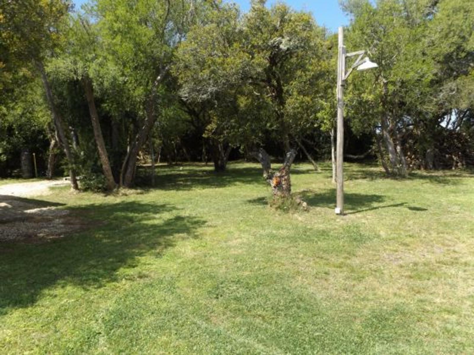 Hermosa chacra de 4.000 mts con vivienda de 3 dormitorios. A pocos kmts de Pinamar. Chacra en Venta. - 13