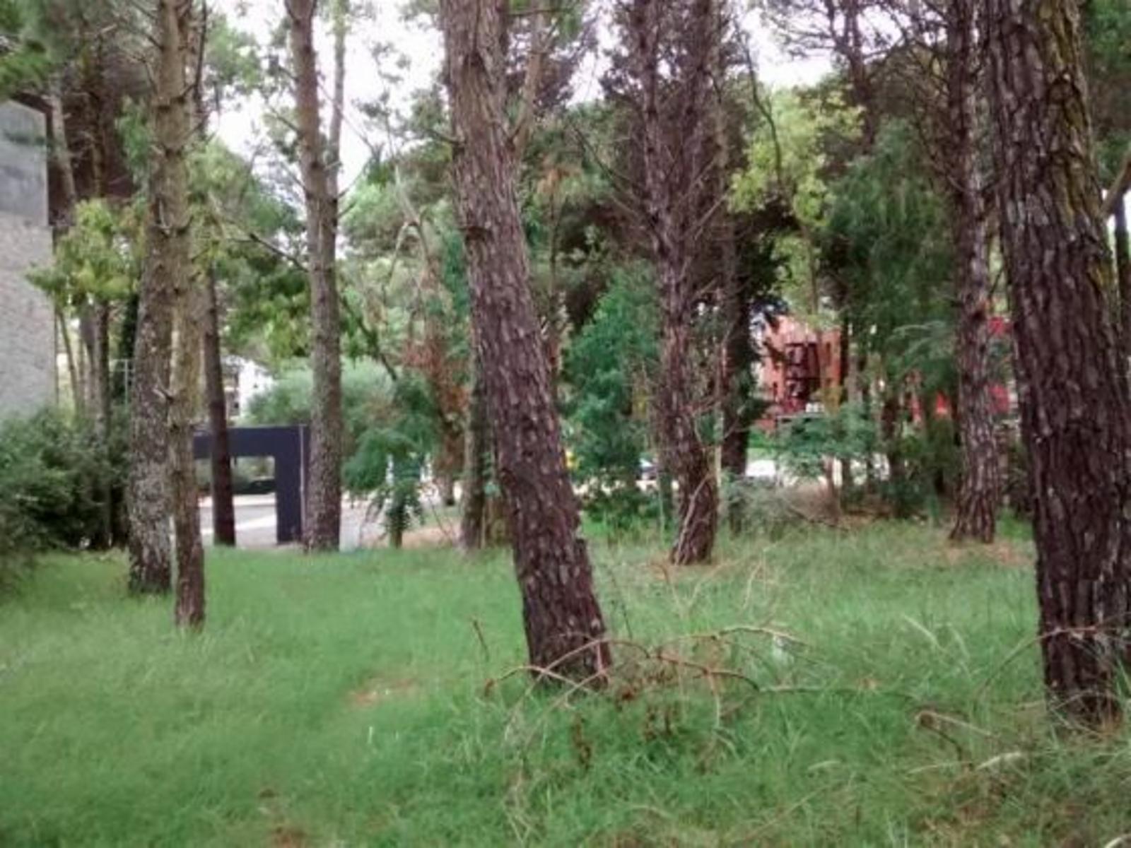 Lote único! Lote Comercial, Hotelero, Multifamiliar en Cariló. Terreno en Venta.
