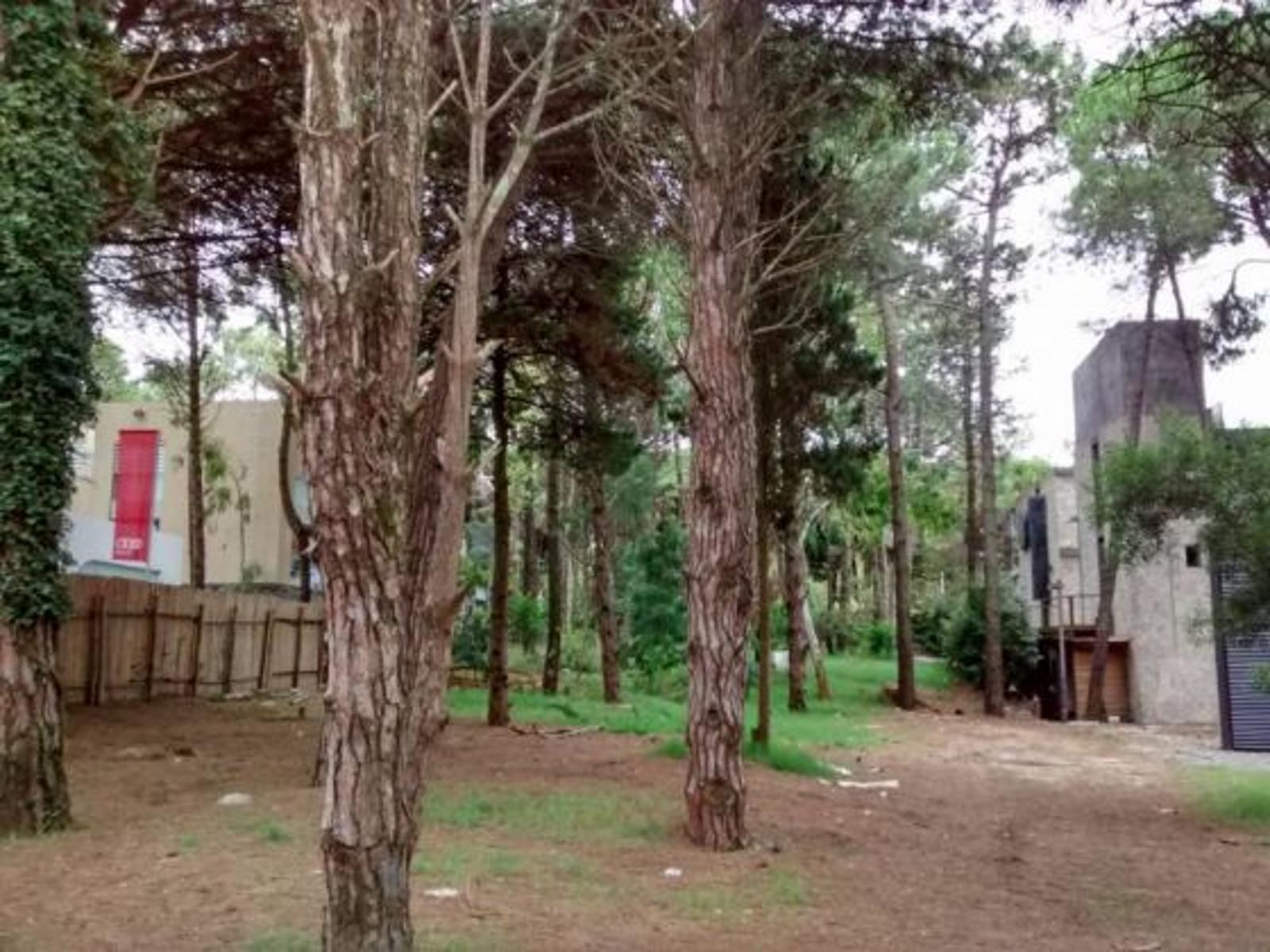Lote único! Lote Comercial, Hotelero, Multifamiliar en Cariló. Terreno en Venta. — foto 3