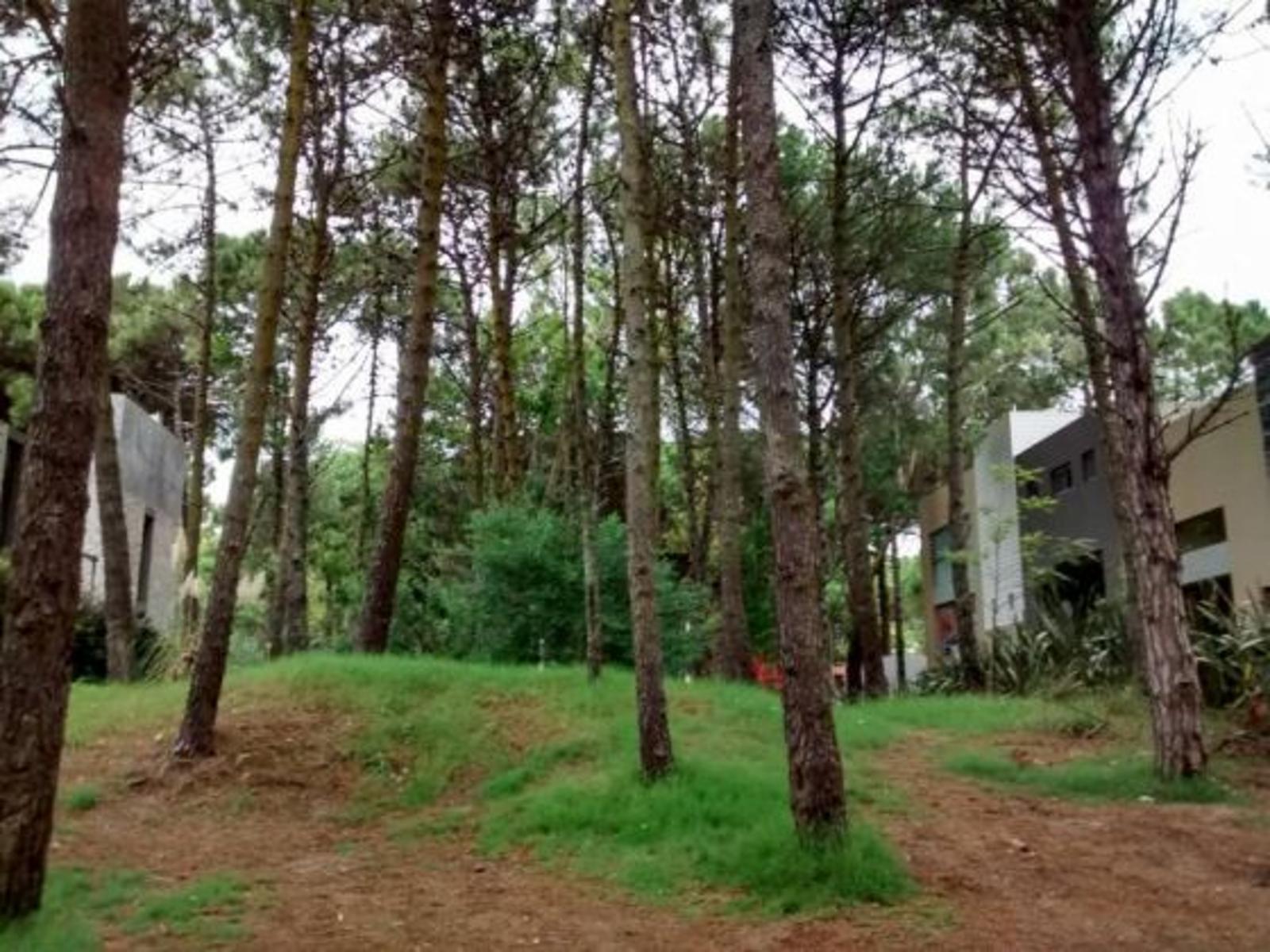 Lote único! Lote Comercial, Hotelero, Multifamiliar en Cariló. Terreno en Venta. — foto 4