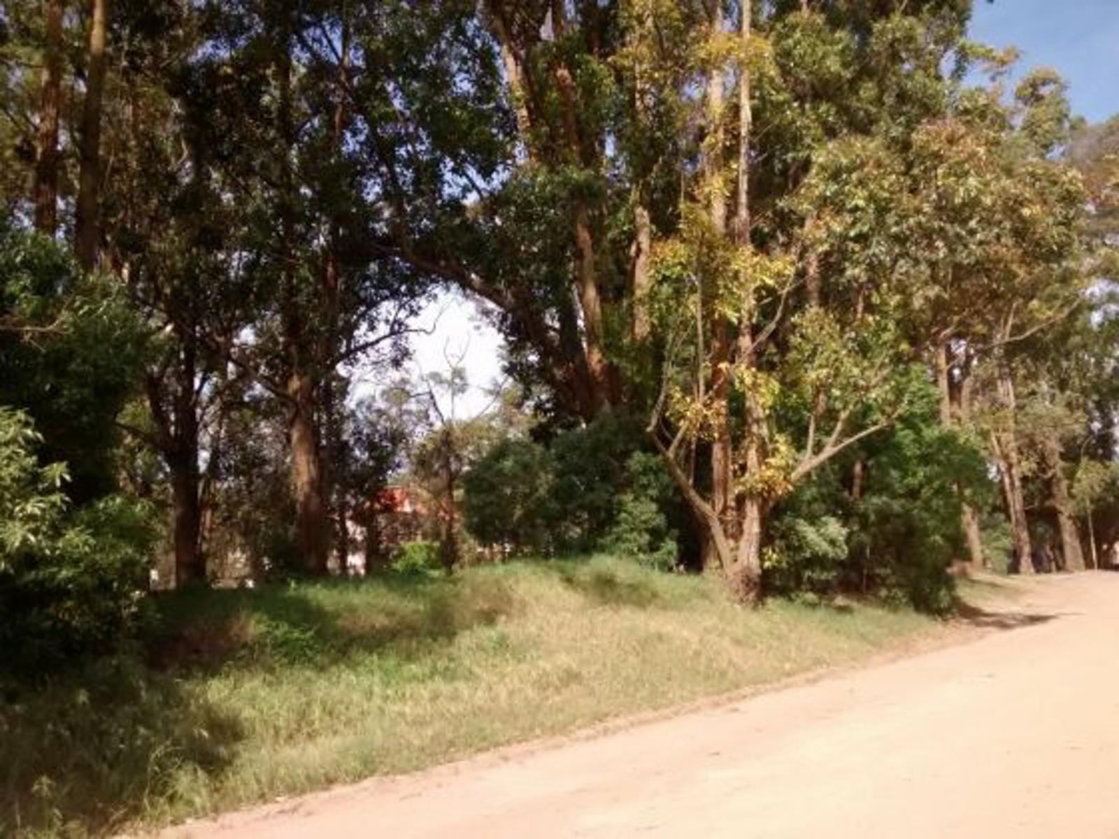 2 lotes unificados en Pinamar. Multifamiliar Hotelero. Lote Multifamiliar en Venta. — foto 2