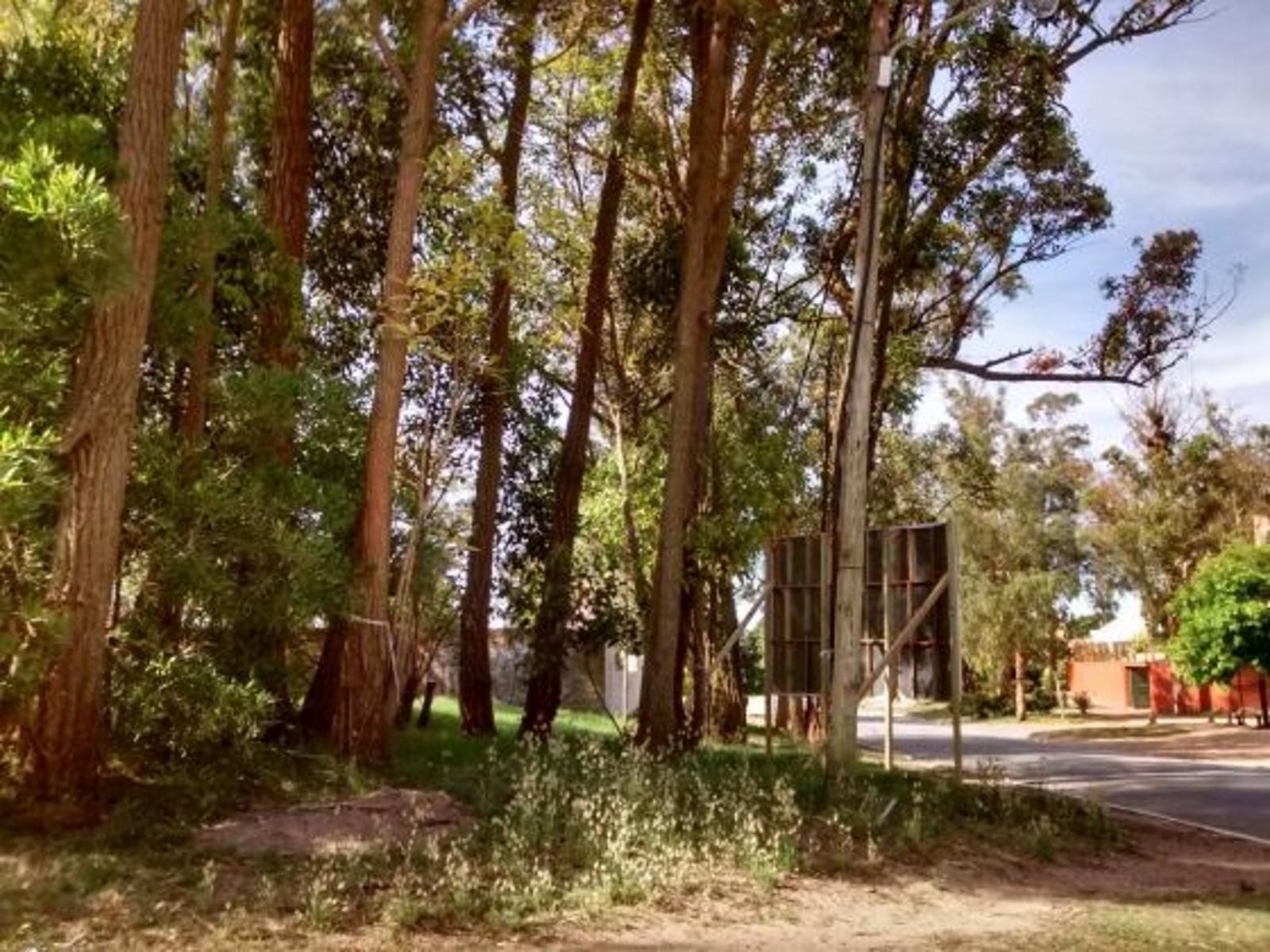 2 lotes unificados en Pinamar. Multifamiliar Hotelero. Lote Multifamiliar en Venta. — foto 4