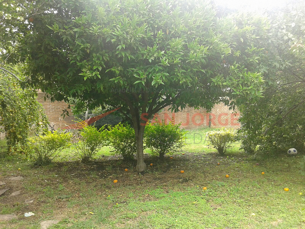 Chalet ubicado en excelente zona de Colinas de Peralta Ramos. — foto 7