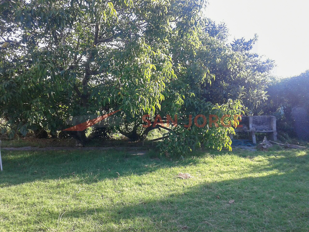 Chalet en Barrio Alfar a 400m de la playa — foto 4