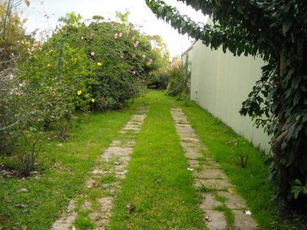 CASA EN LOTE DE 8.66 X 50 CON DOS DORMITORIOS A REFACCIONAR Y OTRO LOTE LIBRE DE 8.66 X 50 OPORTUNIDAD — foto 6