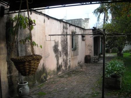 CASA EN LOTE DE 8.66 X 50 CON DOS DORMITORIOS A REFACCIONAR Y OTRO LOTE LIBRE DE 8.66 X 50 OPORTUNIDAD — foto 8