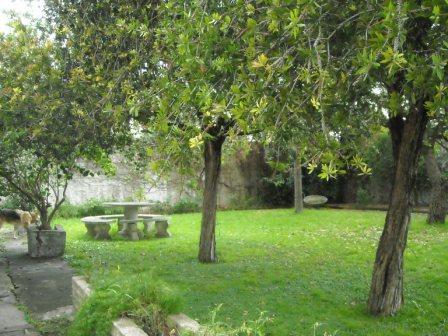 CASA EN LOTE DE 8.66 X 50 CON DOS DORMITORIOS A REFACCIONAR Y OTRO LOTE LIBRE DE 8.66 X 50 OPORTUNIDAD — foto 9