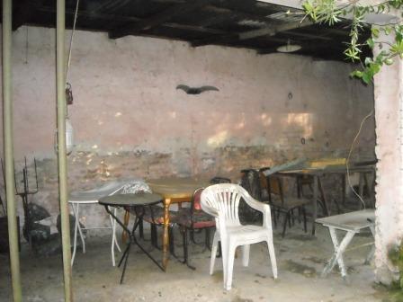 CASA EN LOTE DE 8.66 X 50 CON DOS DORMITORIOS A REFACCIONAR Y OTRO LOTE LIBRE DE 8.66 X 50 OPORTUNIDAD — foto 10