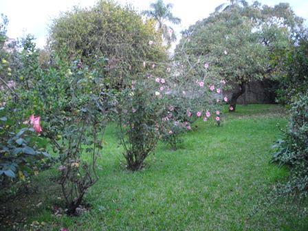 CASA EN LOTE DE 8.66 X 50 CON DOS DORMITORIOS A REFACCIONAR Y OTRO LOTE LIBRE DE 8.66 X 50 OPORTUNIDAD — foto 13