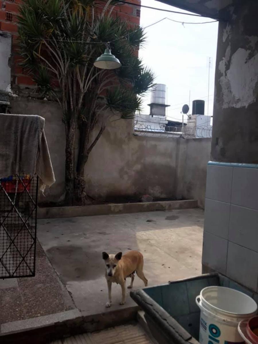 VENTA EN JOSÉ LEON SUAREZ PH AL FRENTE de 3 ambiente a Una cuadra y Media de Av Sarratea - CONSULTAS AL 4763-0904 / 4765-4181 COSTAS INMOBILIARIA — foto 9