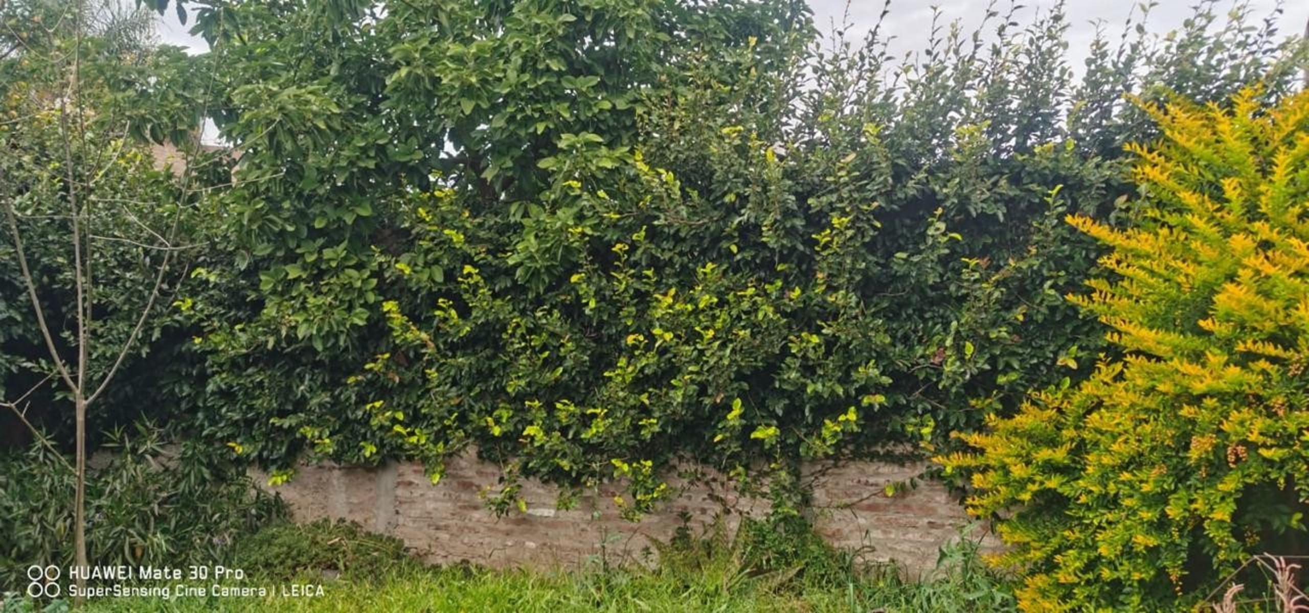 BOULOGNE SUR MER - VENTA DOS LOCALES CON UN DTO. FONDO En LOTE PROPIO - sobre Av. Rolón — foto 6