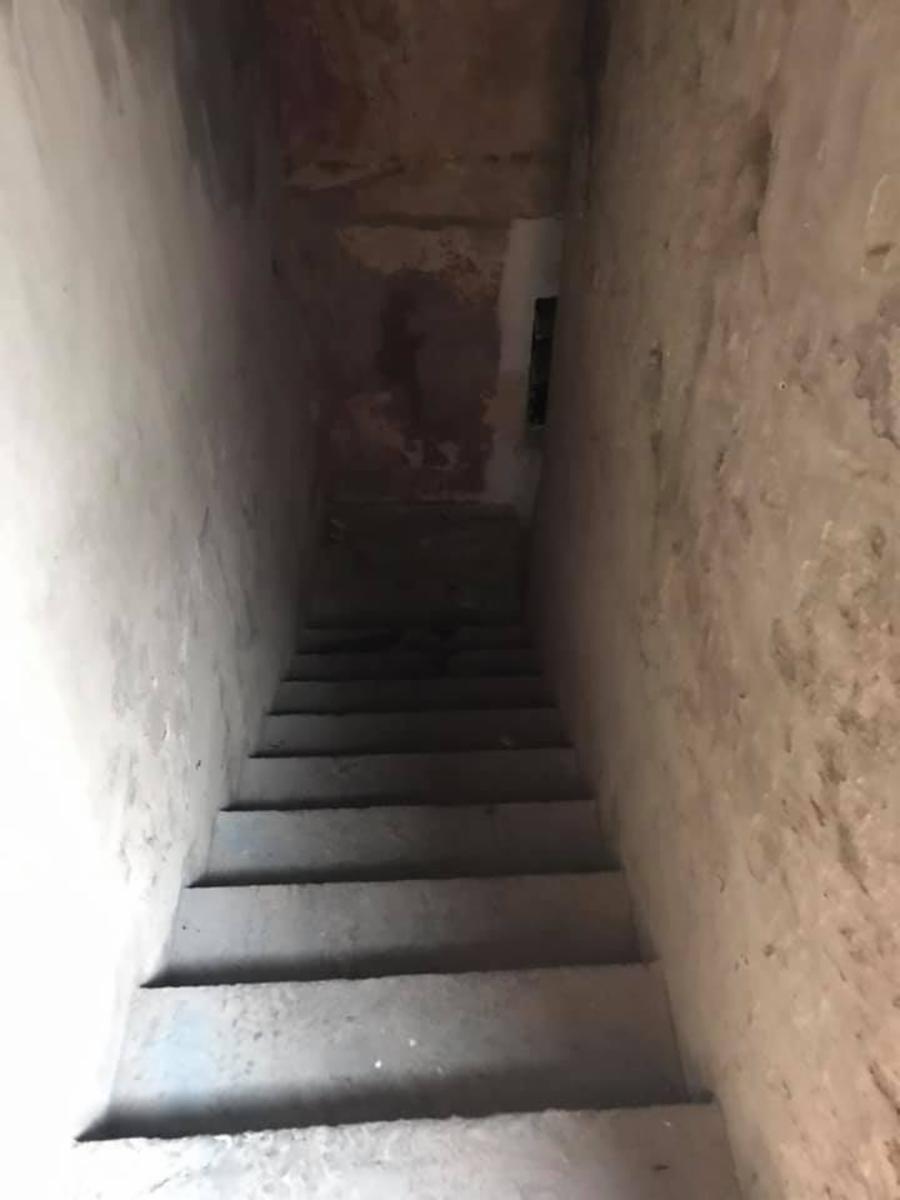 CASA EN JOSE LEON SUAREZ — foto 11