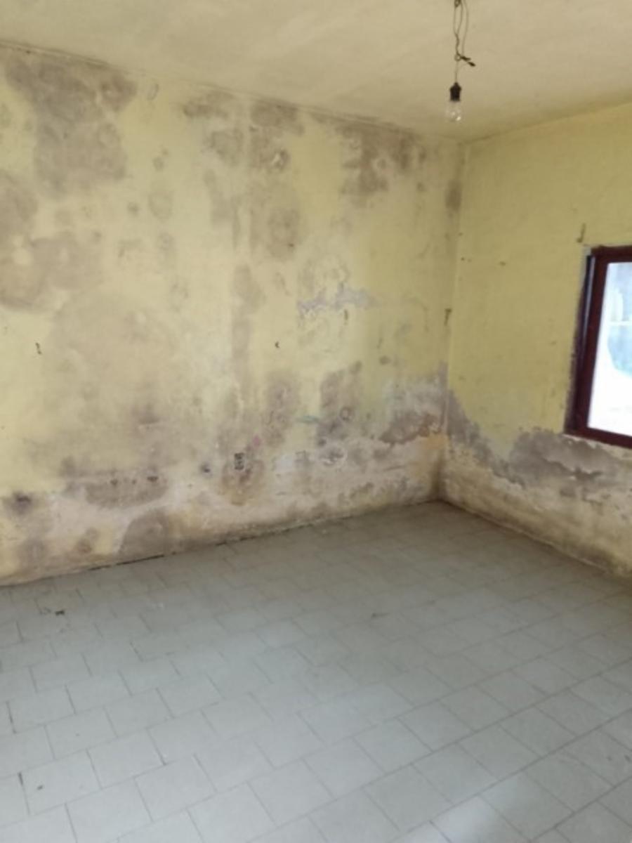 CASA A REFACCION EN JOSE LEON SUAREZ — foto 8