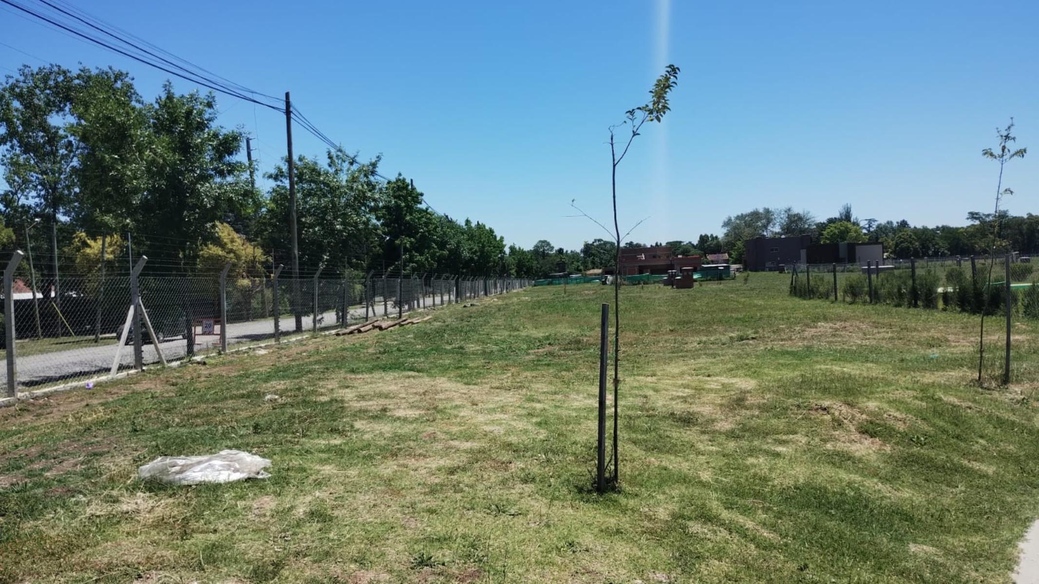 Terreno en Santa Elisa, Pilar del Este, Zelaya, Pilar — foto 4