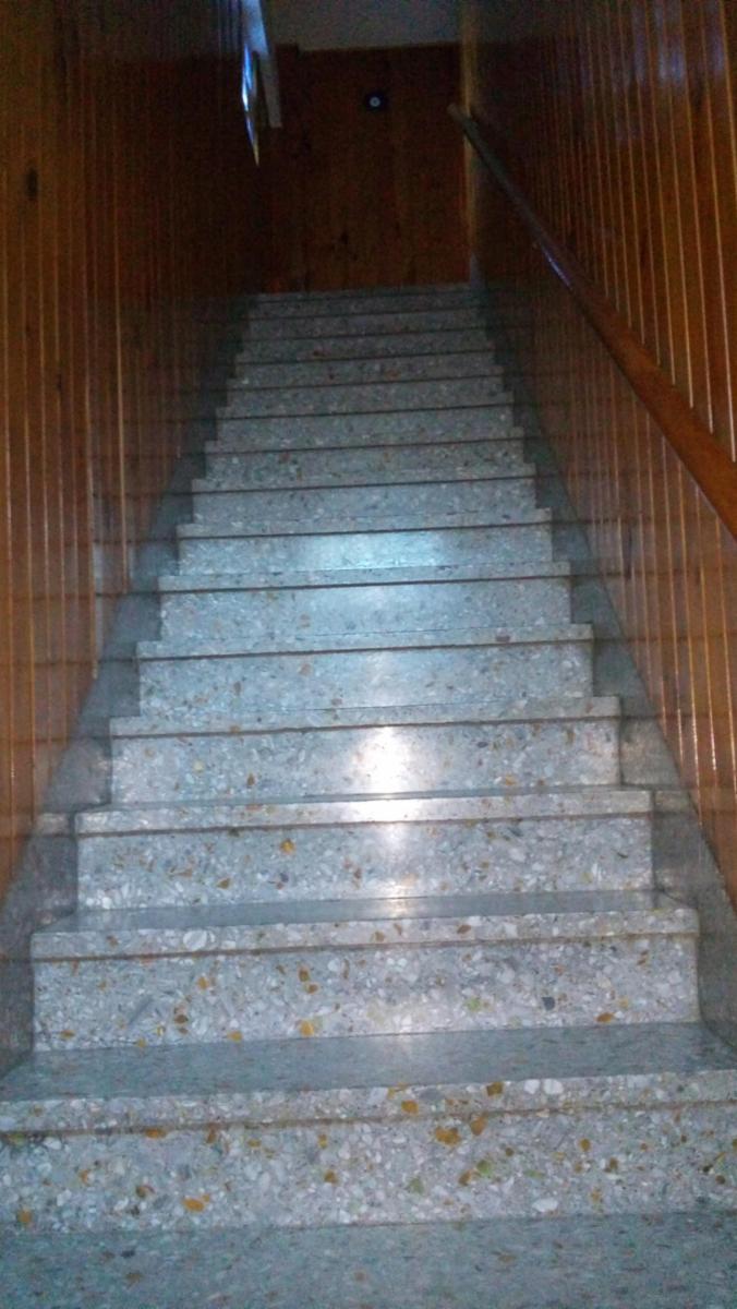 CASA 4 AMBIENTES Y GALPON — foto 3
