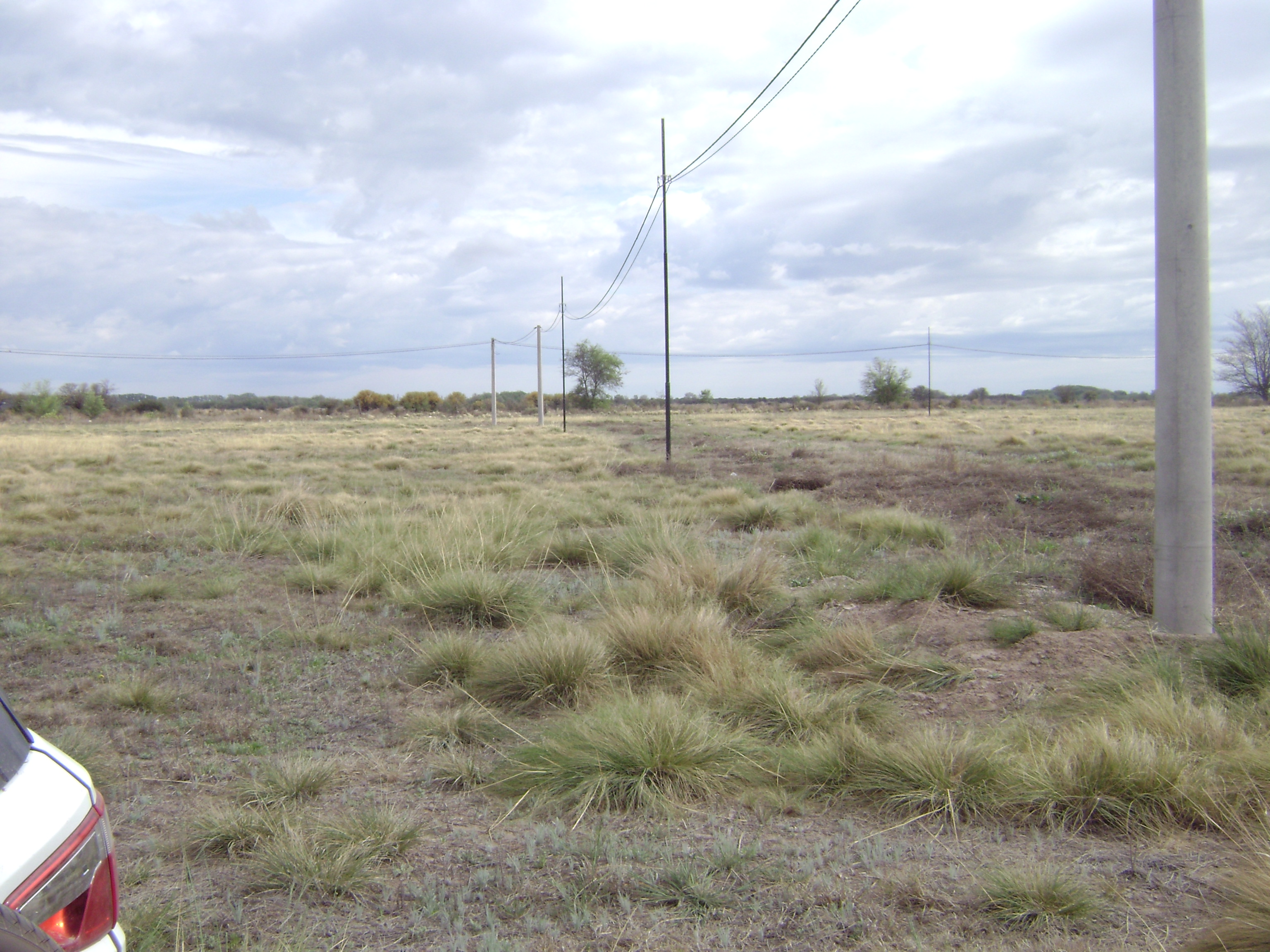 EXCLUSIVO LOTEO en TILISARAO / SAN LUIS (Oportunidad) - 2