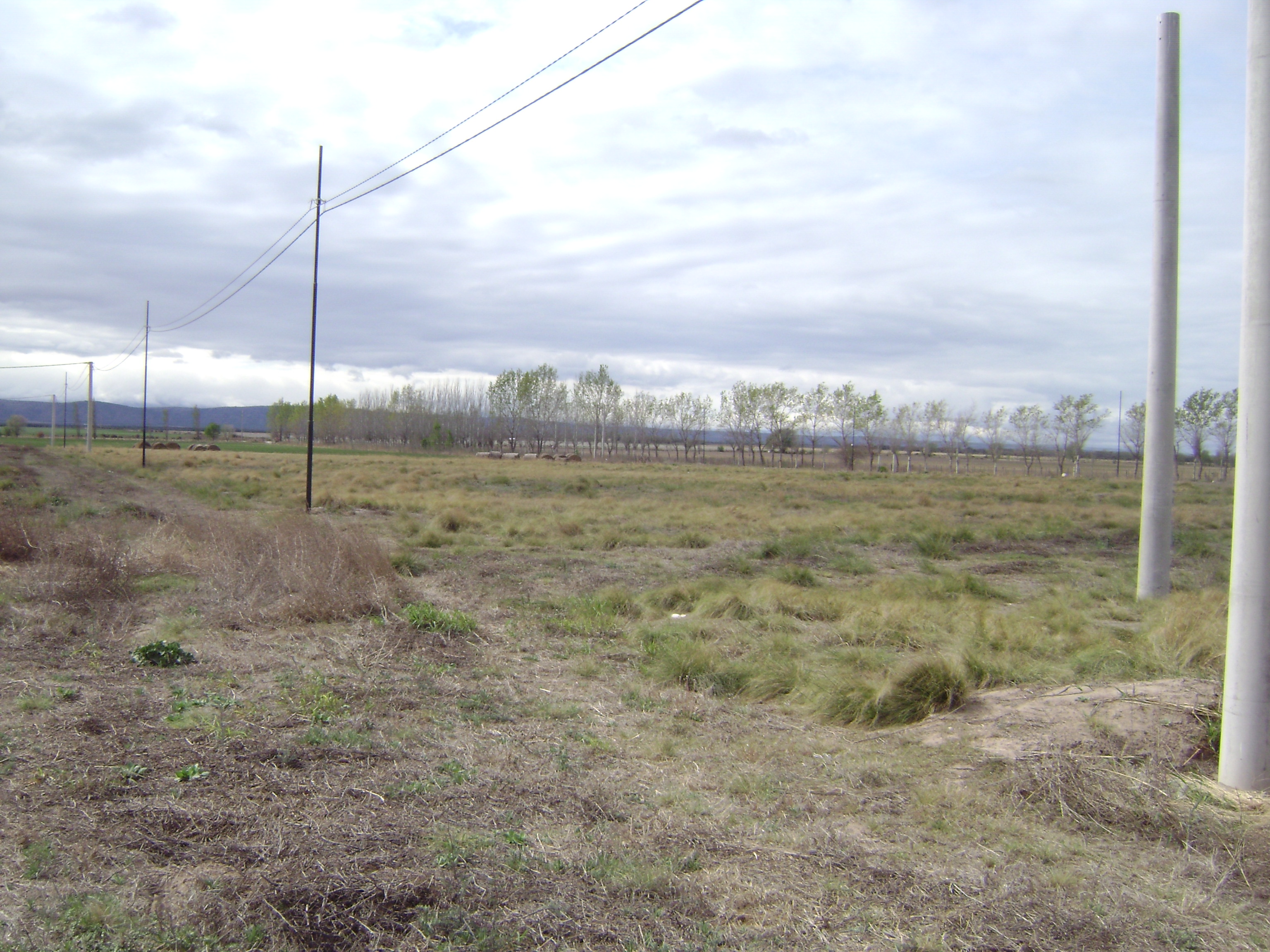 EXCLUSIVO LOTEO en TILISARAO / SAN LUIS (Oportunidad) - 3