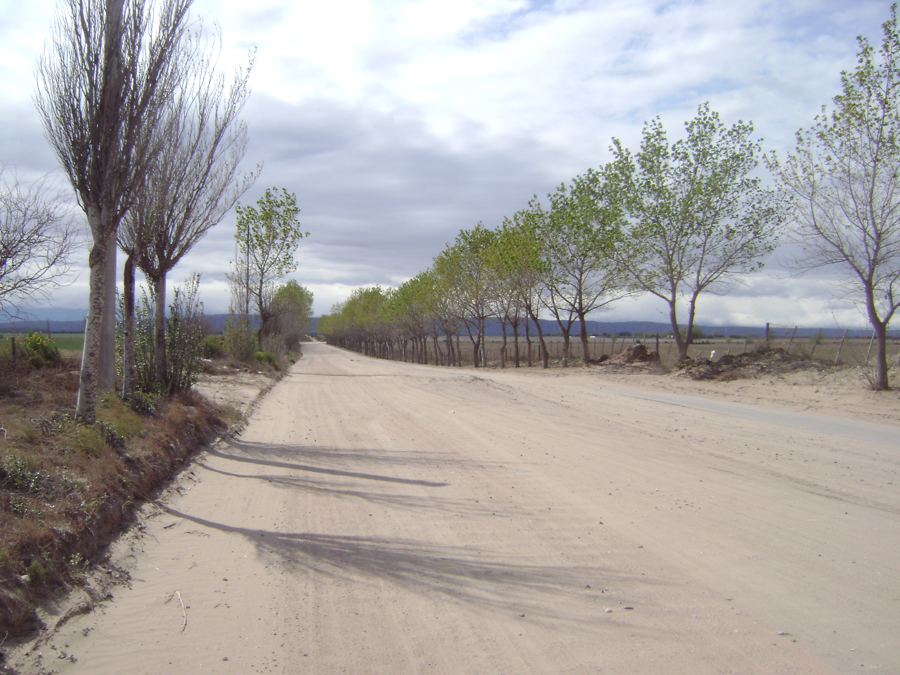 EXCLUSIVO LOTEO en TILISARAO / SAN LUIS (Oportunidad) - 7