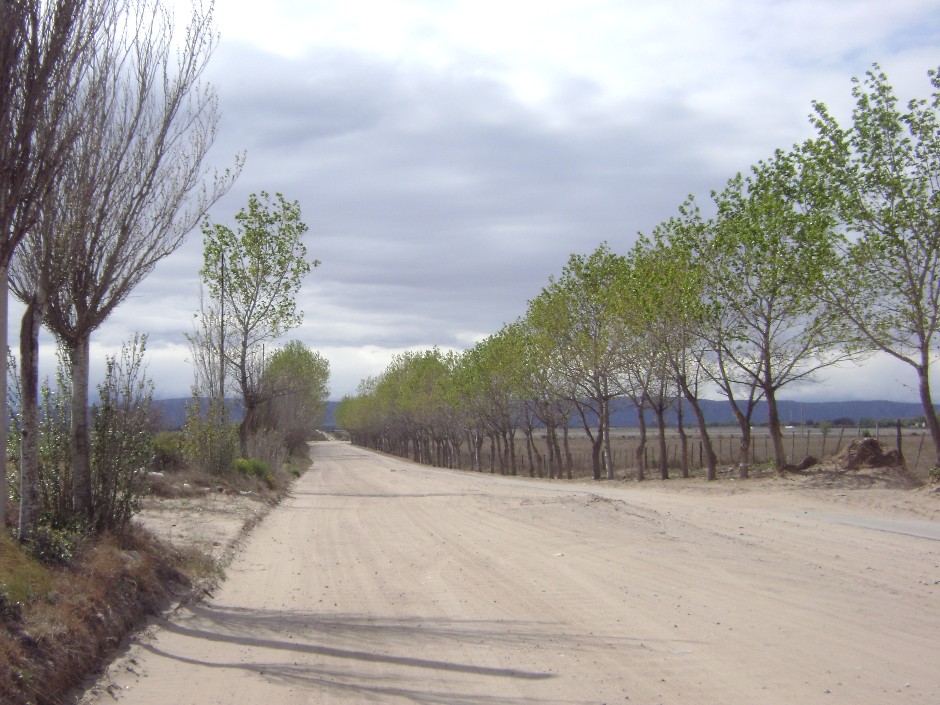 EXCLUSIVO LOTEO en TILISARAO / SAN LUIS (Oportunidad) - 8
