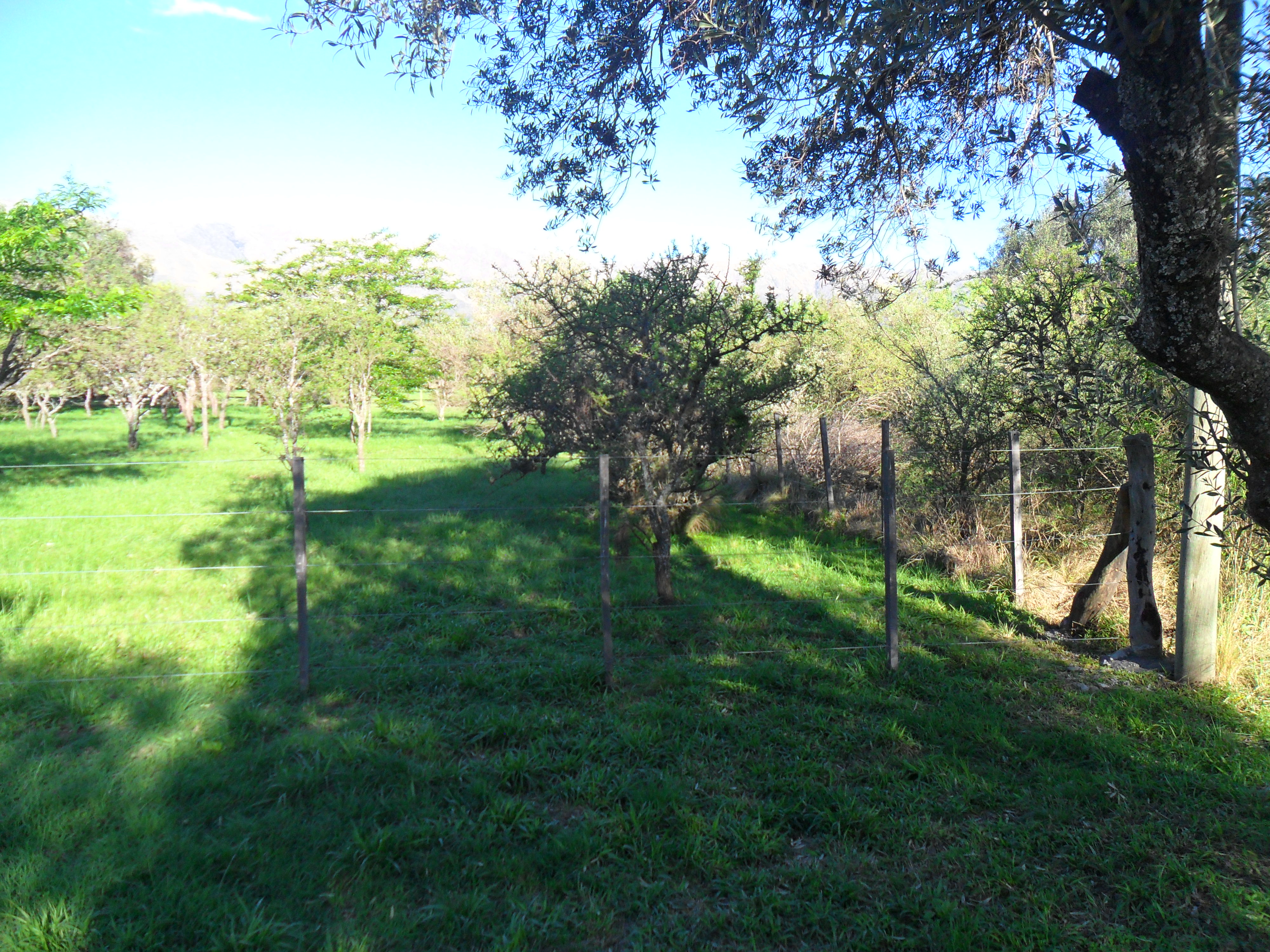 EXCLUSIVO LOTE / MERLO - San Luis (residencial) — foto 6
