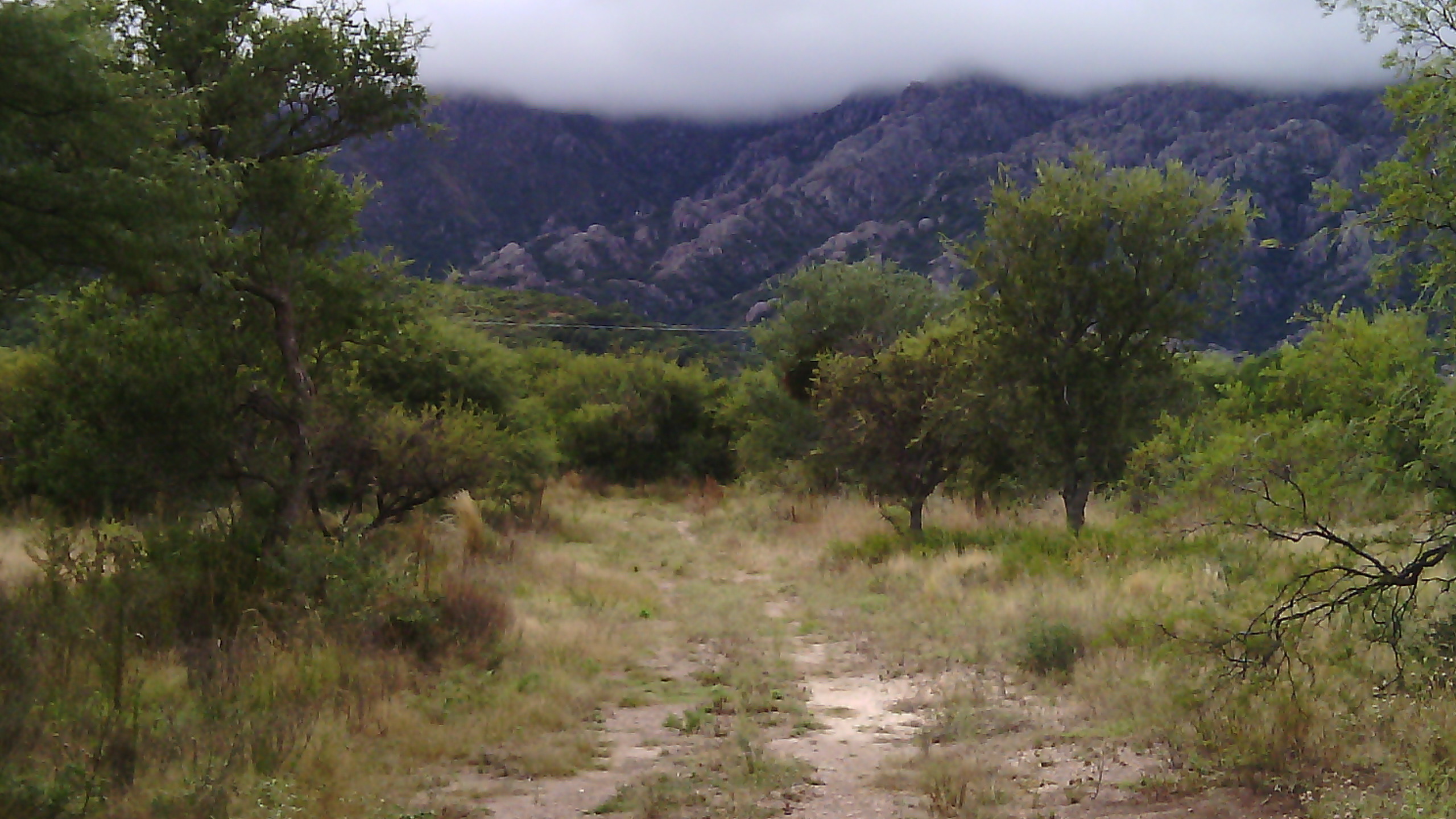 LOTEO / San Miguel - SAN LUIS - 2